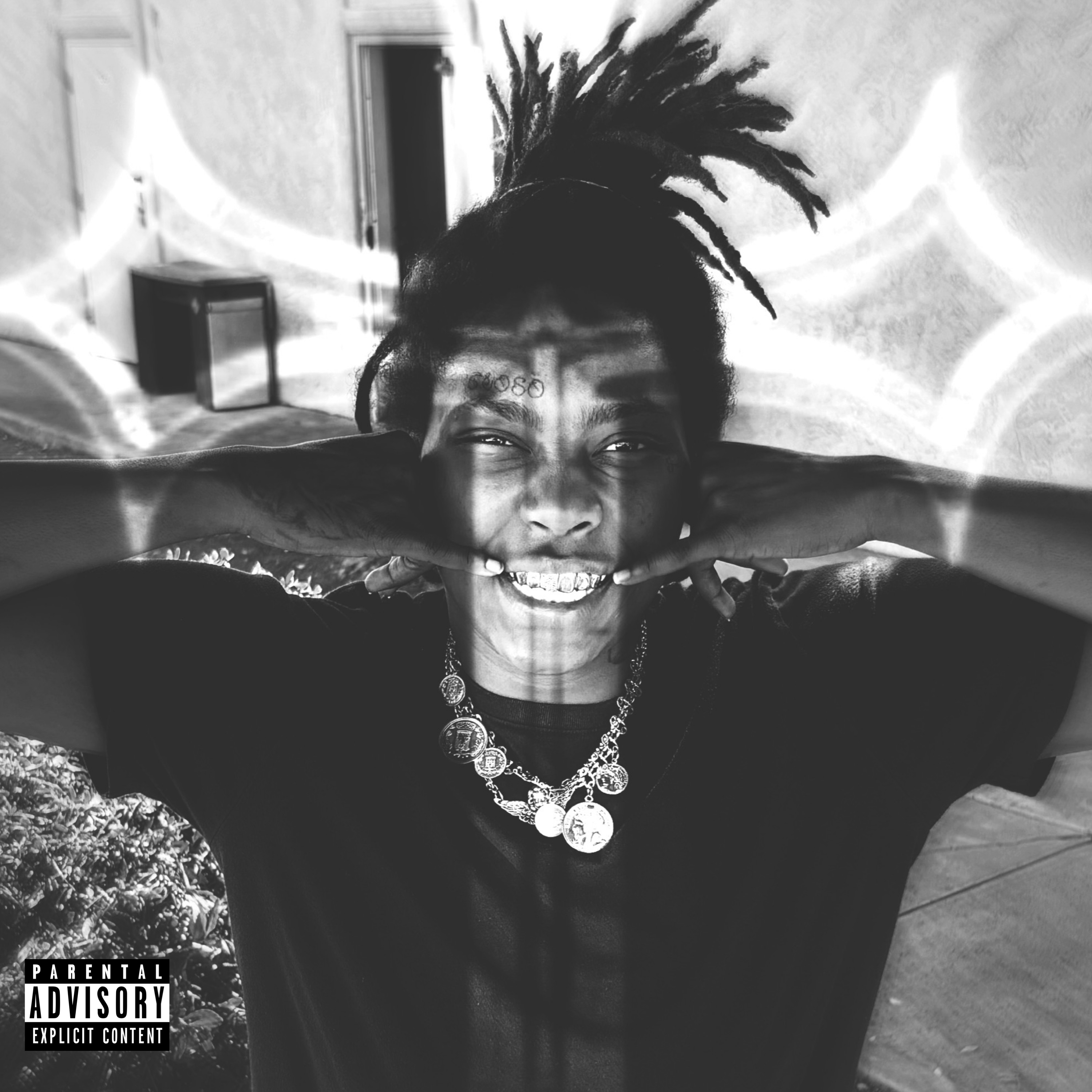 Voices In My Head artwork