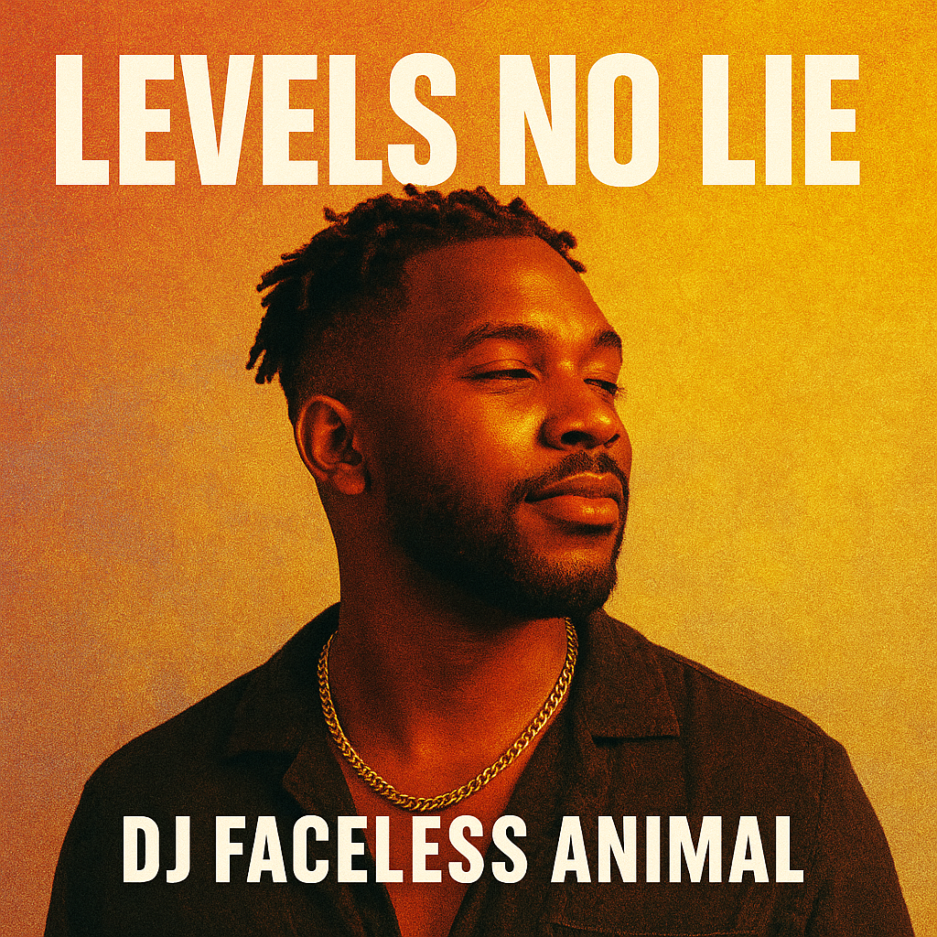 Levels No Lie artwork