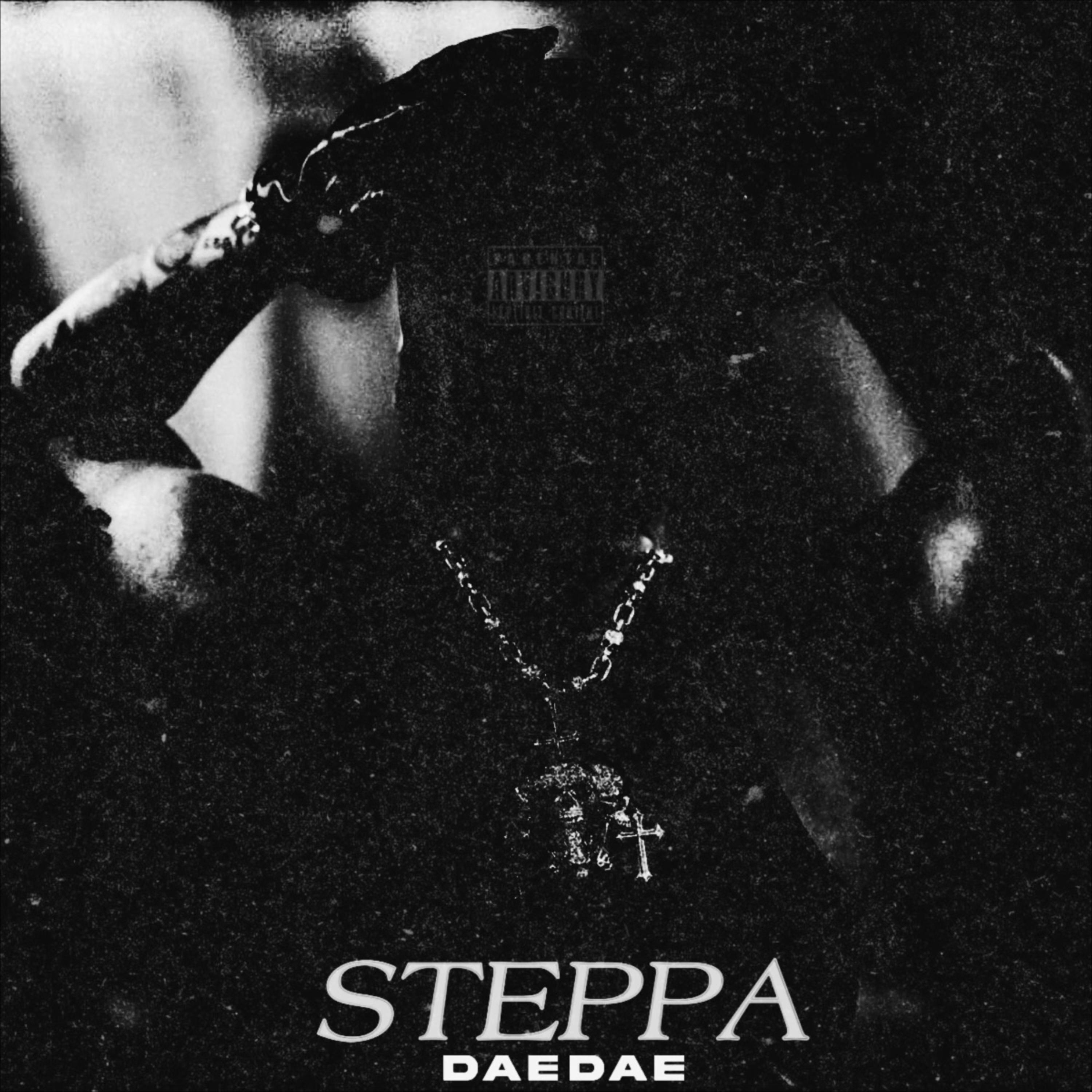 Steppa artwork