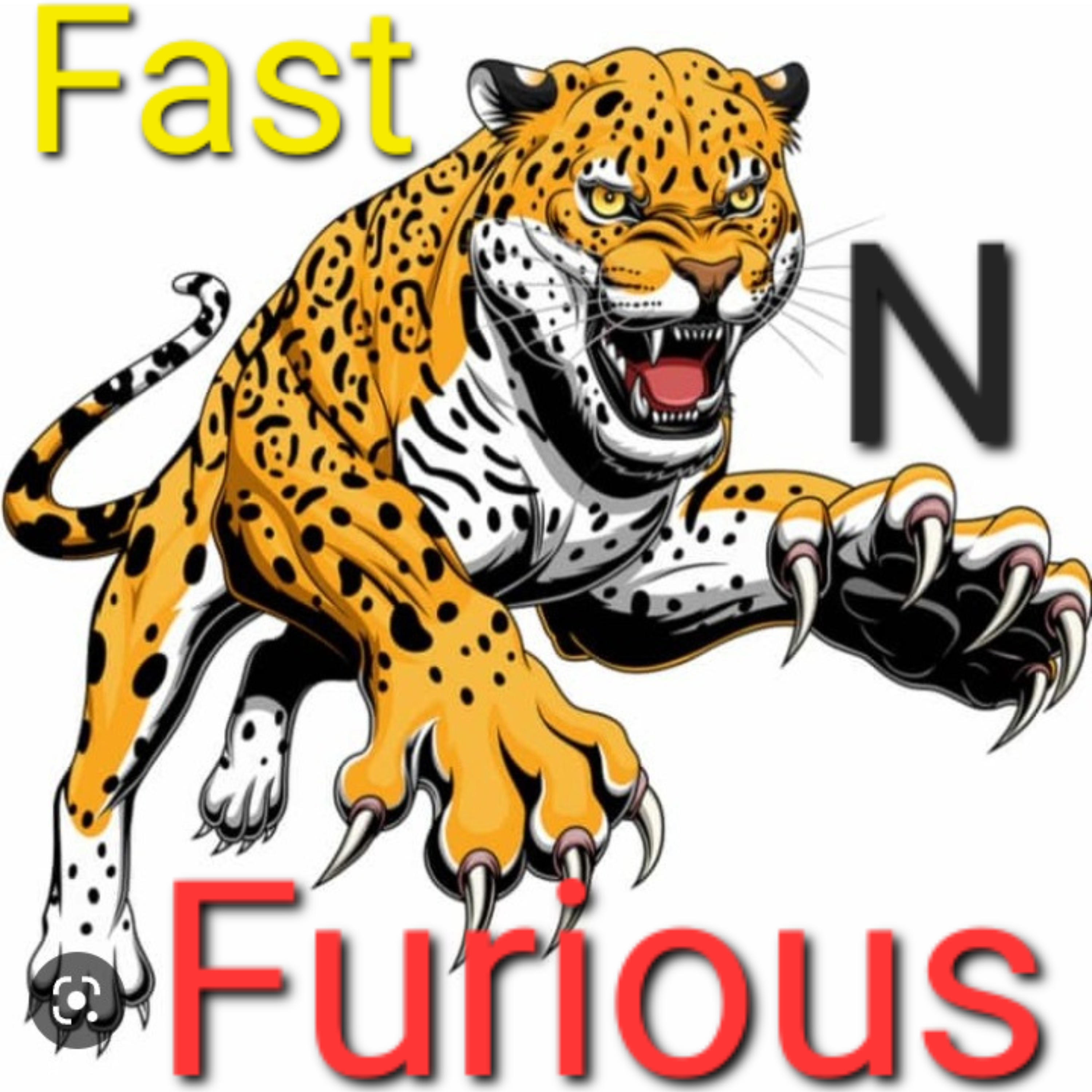 Fast N Furious artwork