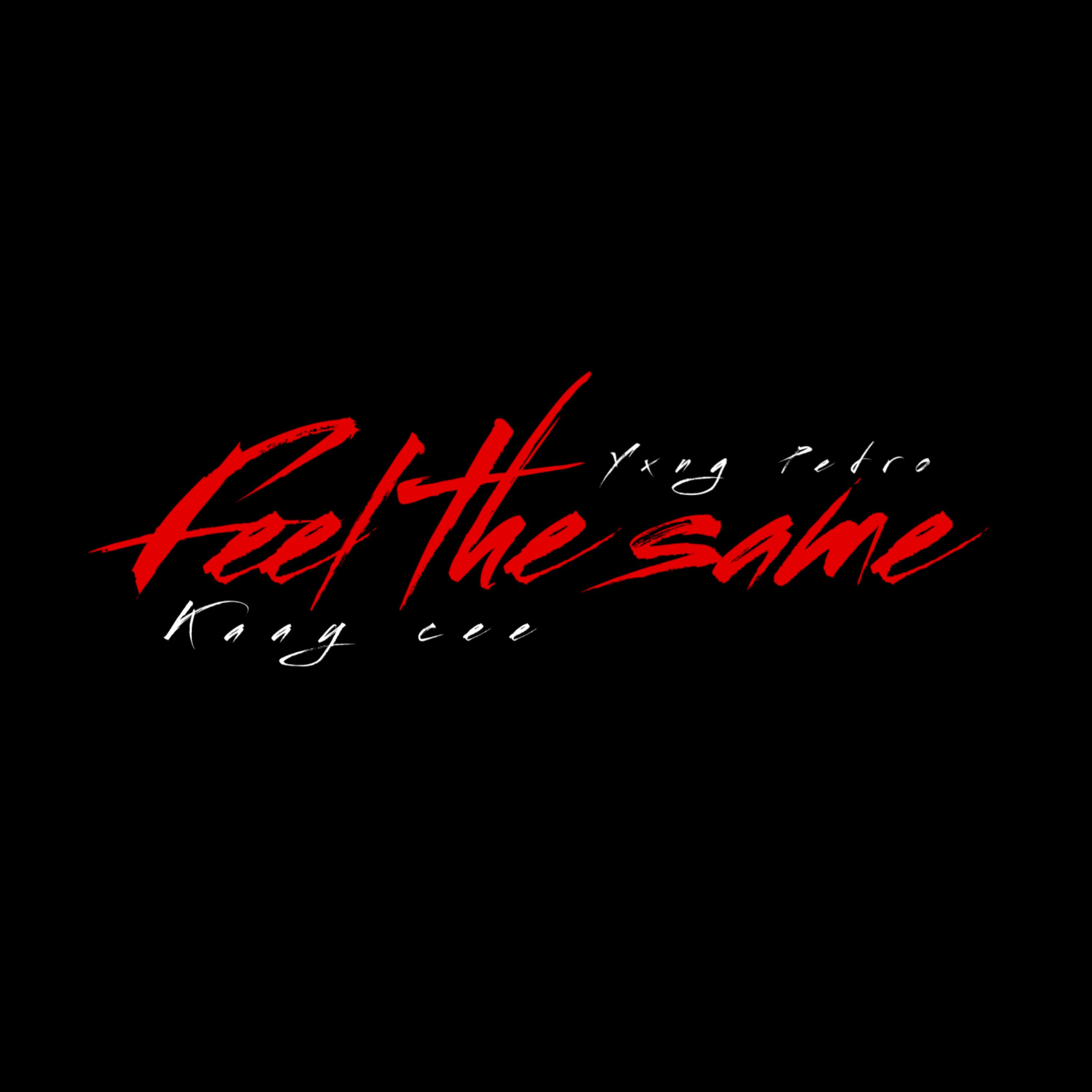 Feel the same artwork
