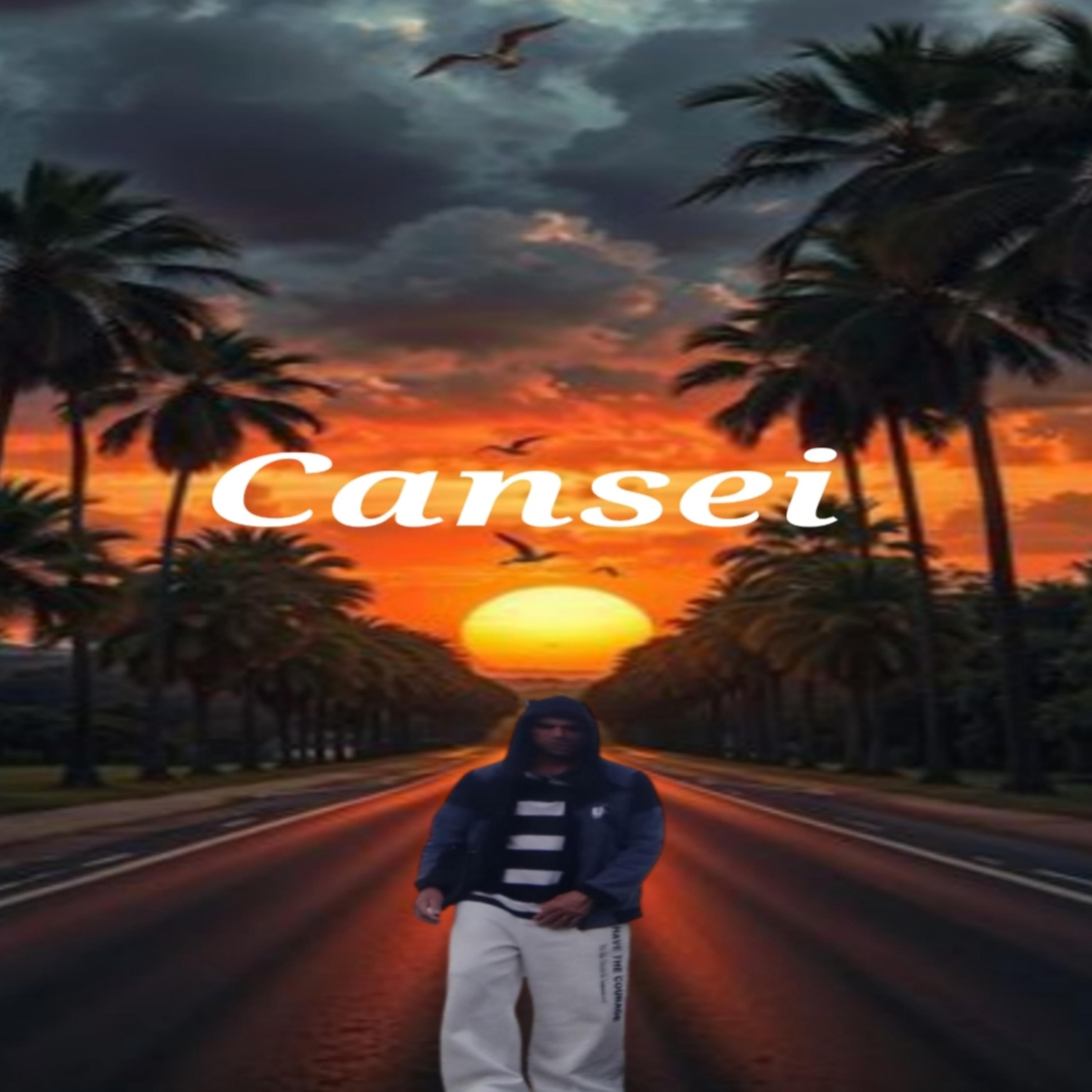 cansei artwork