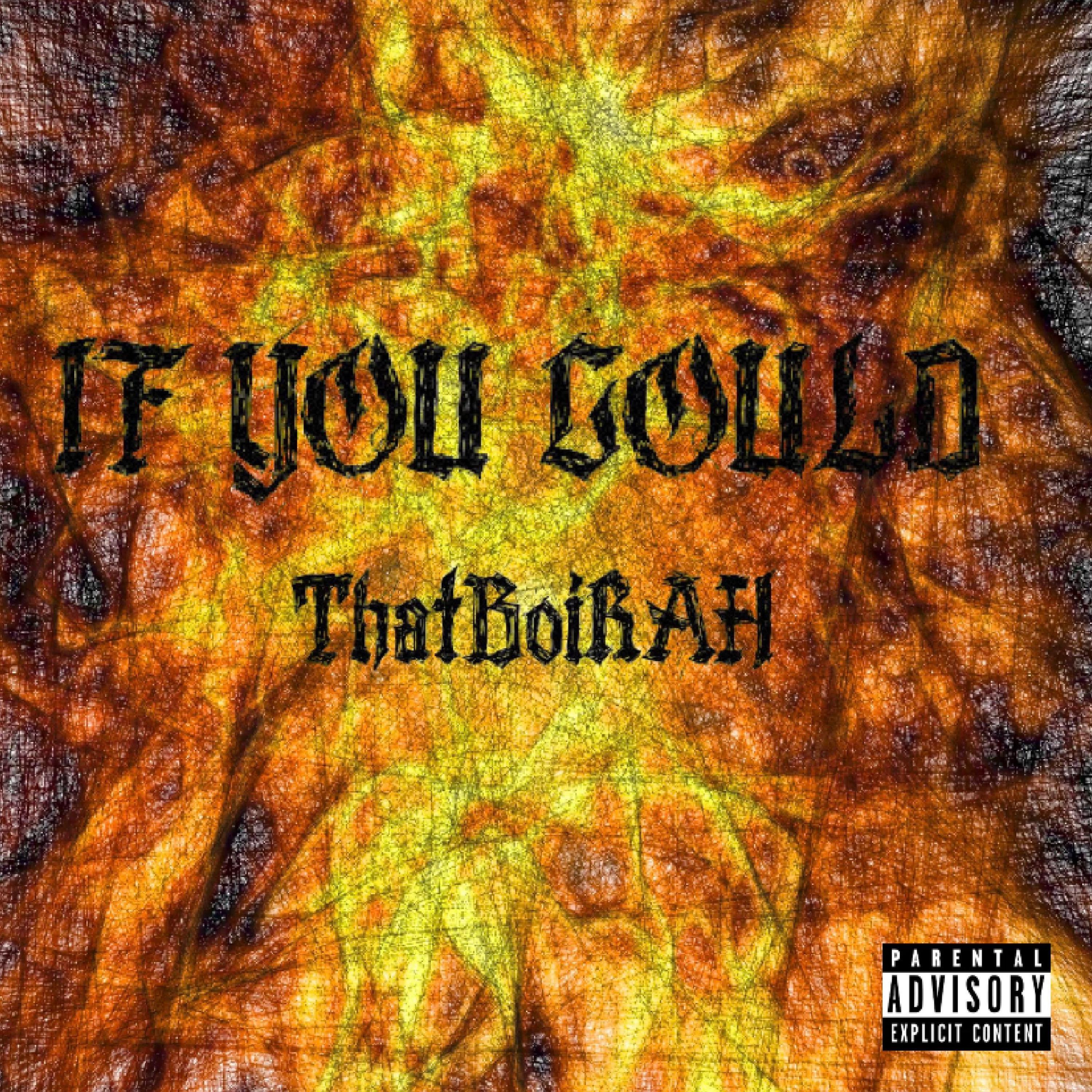 IF YOU COULD artwork