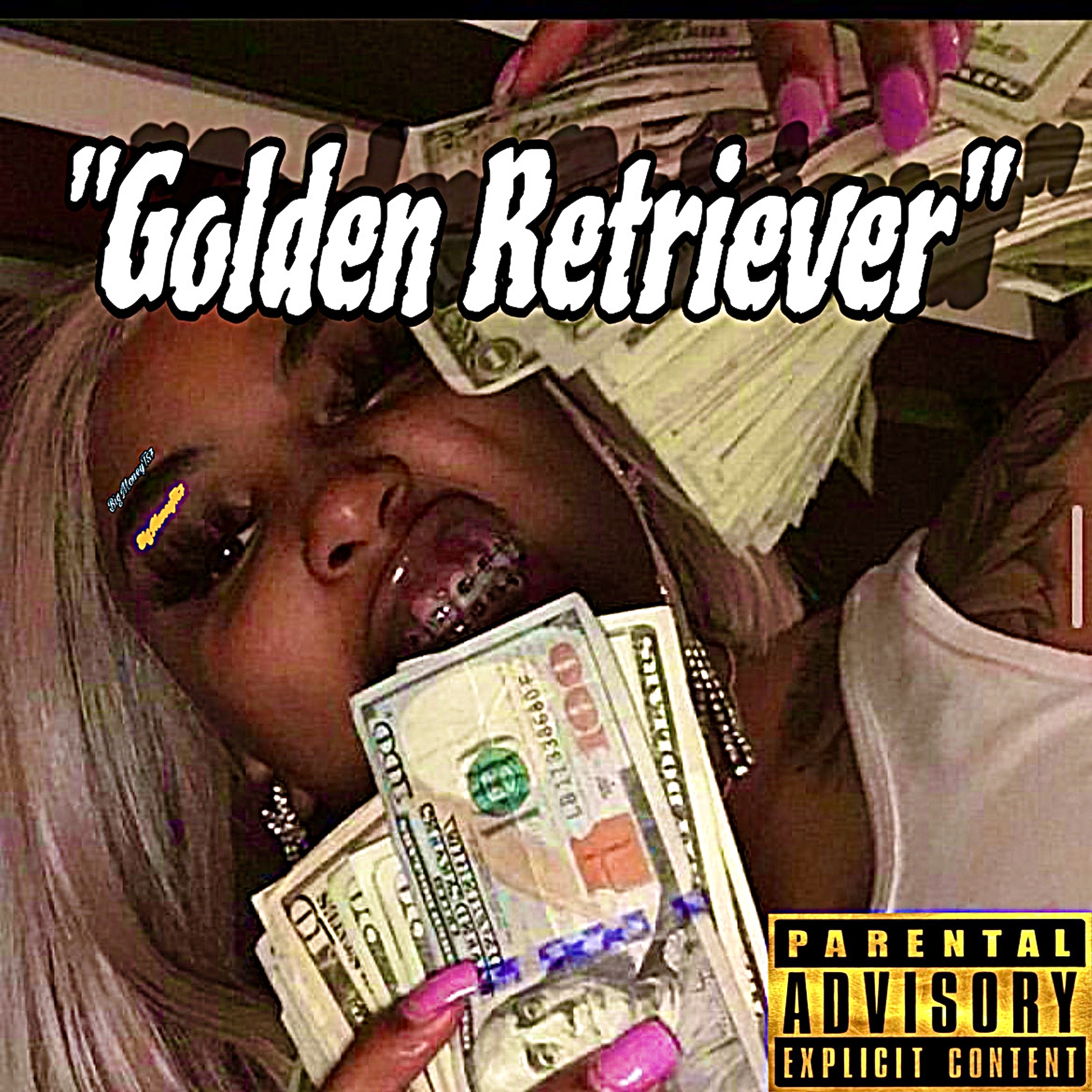 Golden Retriever artwork