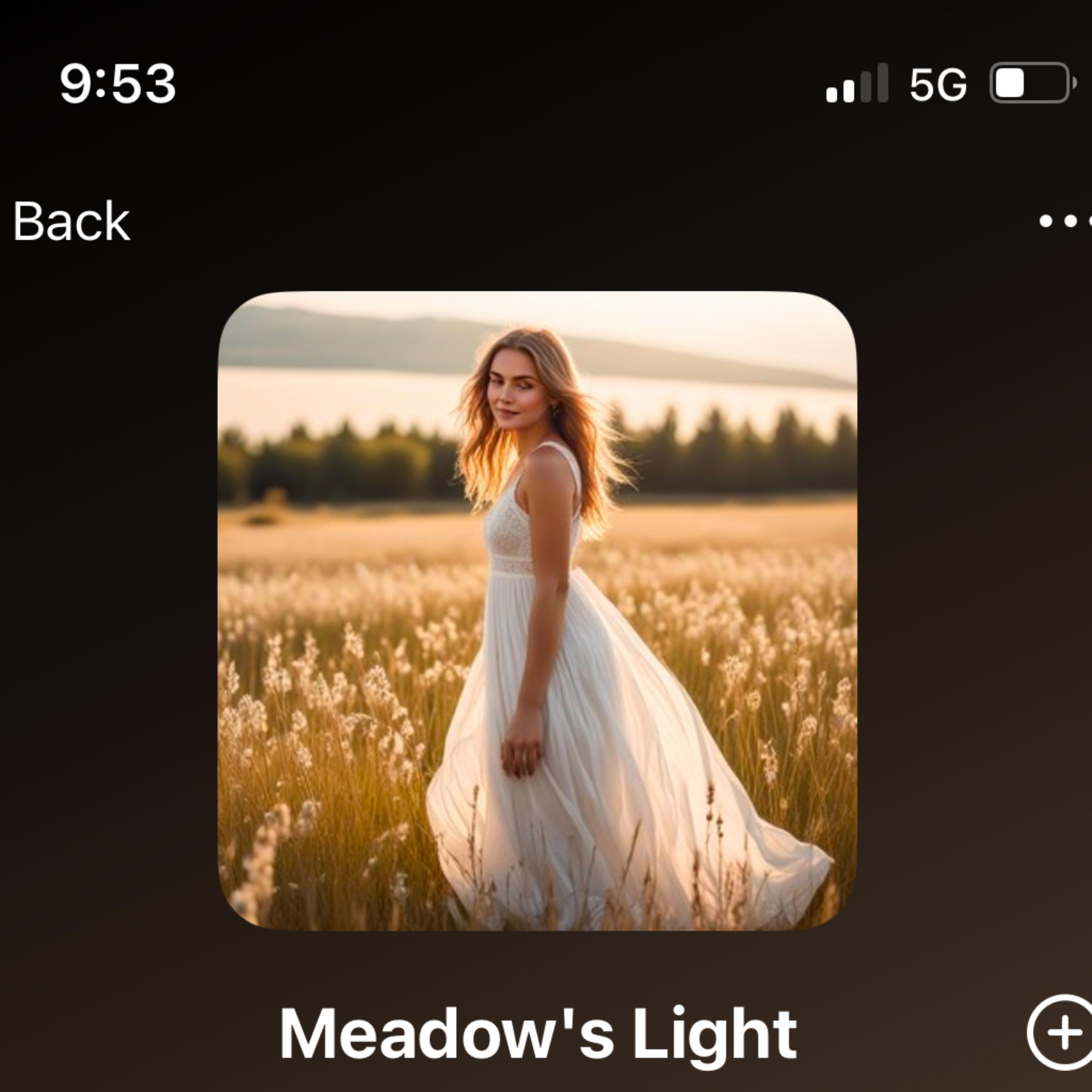 Meadow’s Light artwork