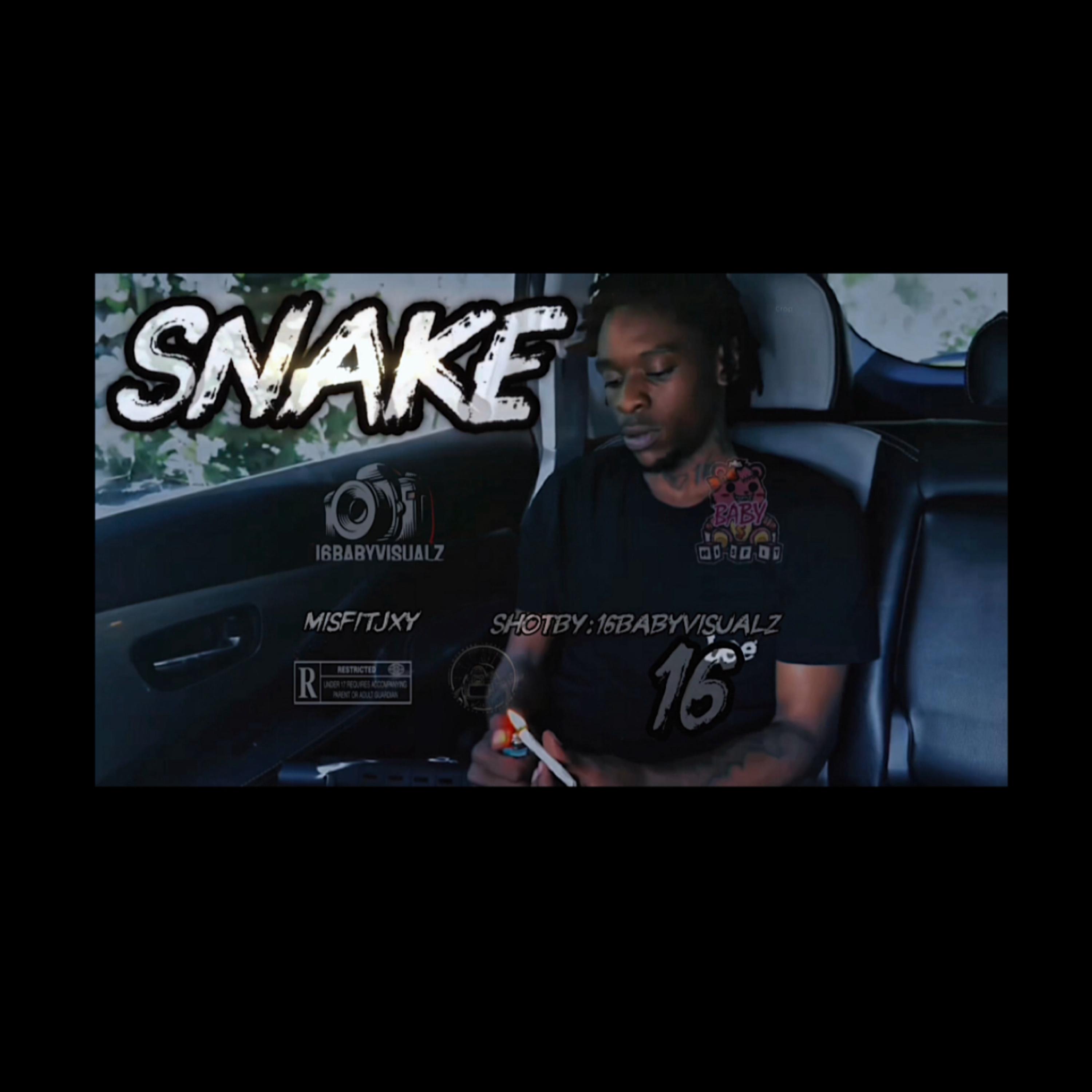 SNAKE artwork