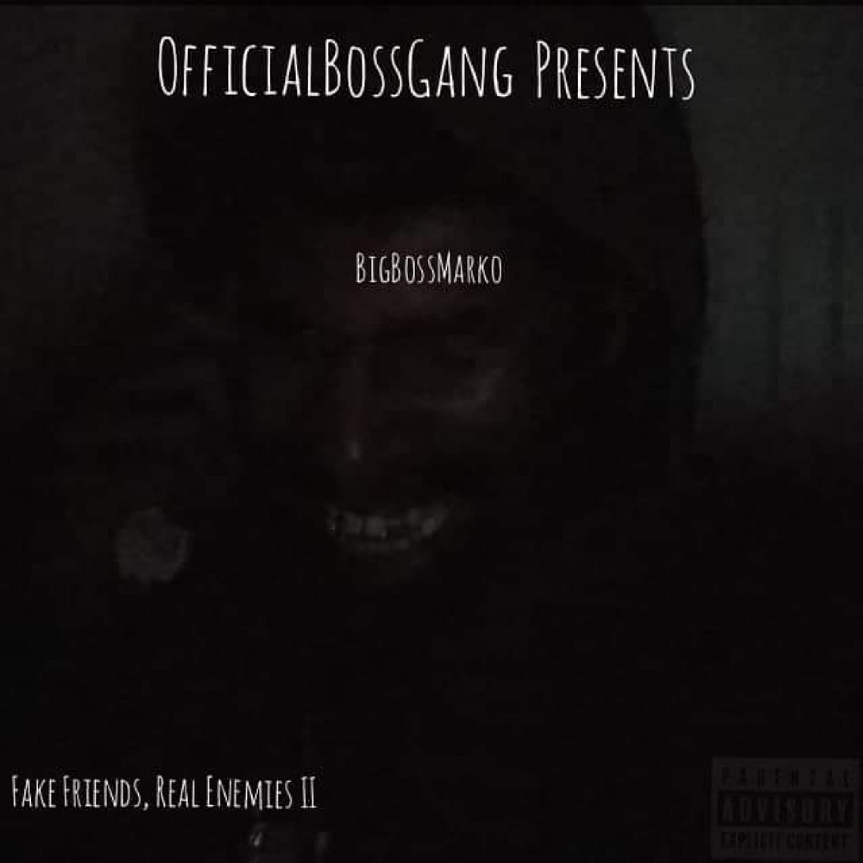 Fake Friends, Real Enemies II artwork