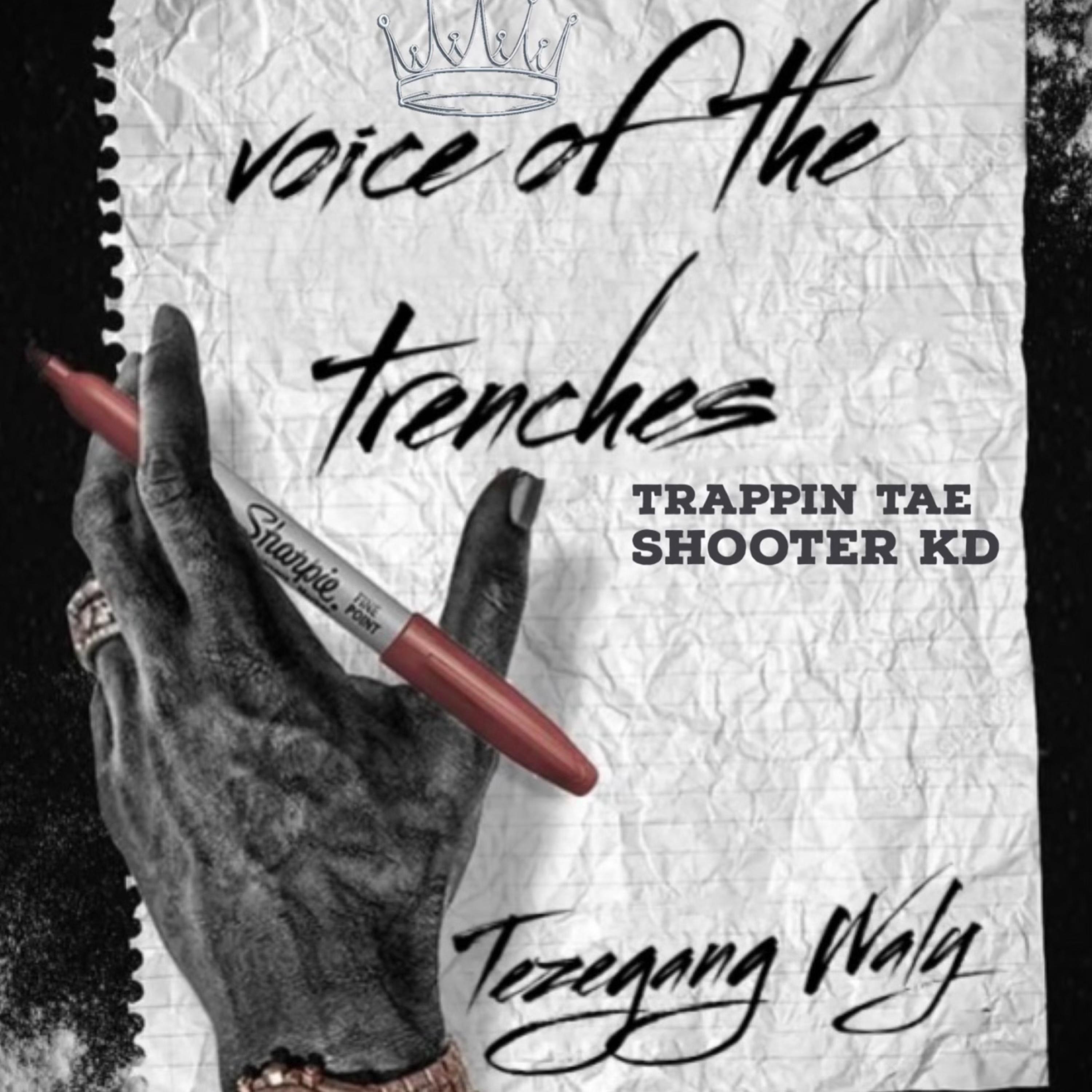 Voice Of The Trenches artwork