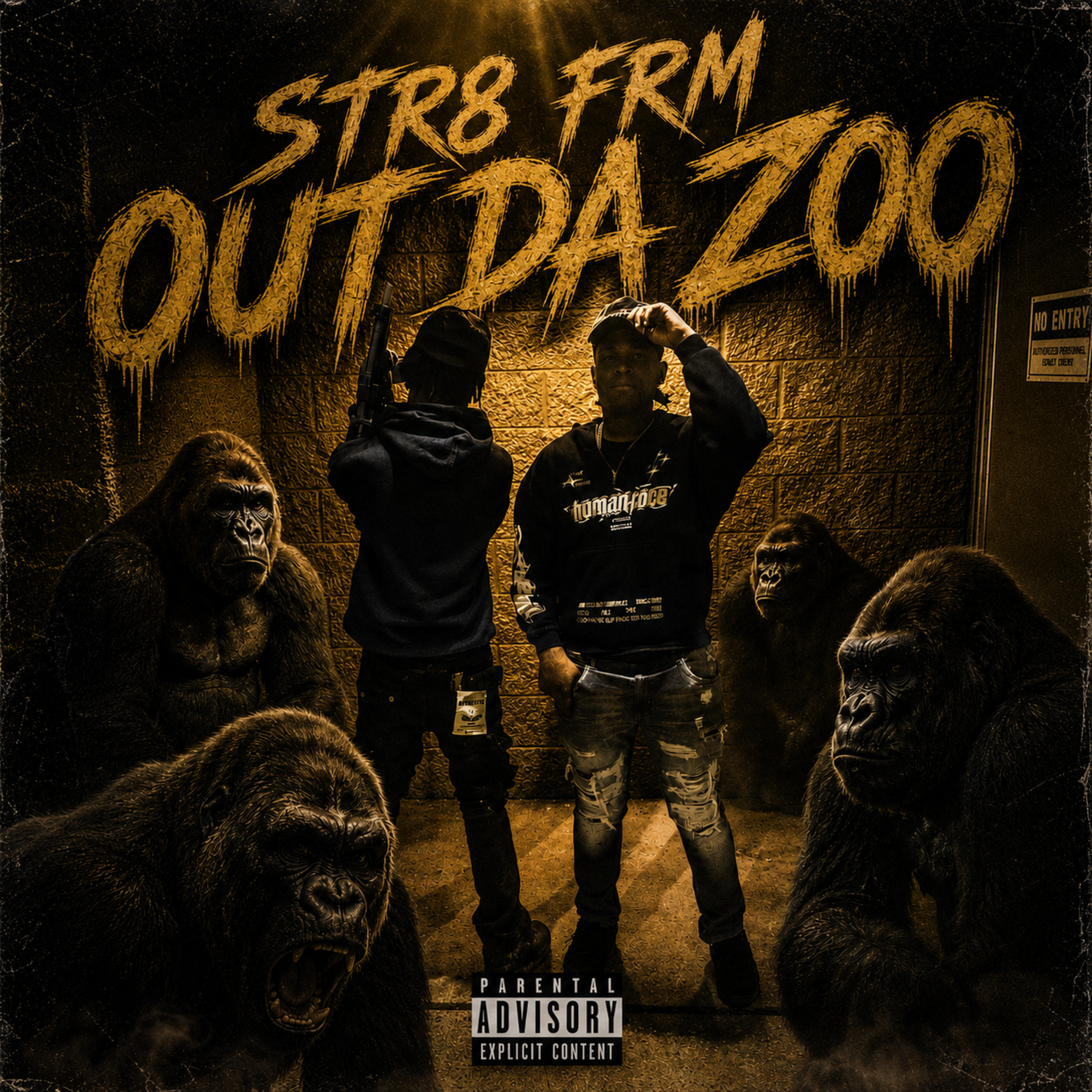 Str8 Frm Out Da Zoo by BSG Deevo cover art