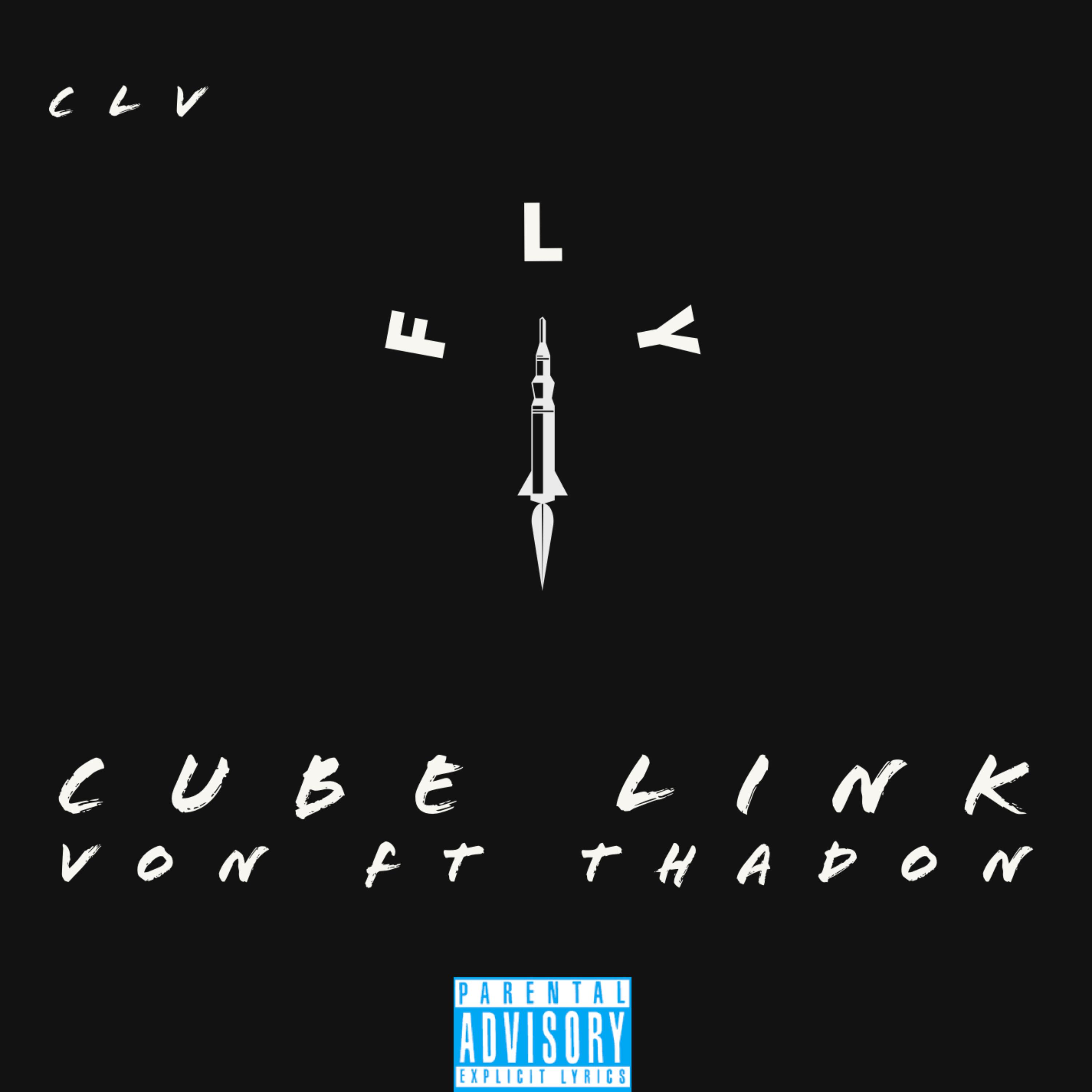 Fly artwork
