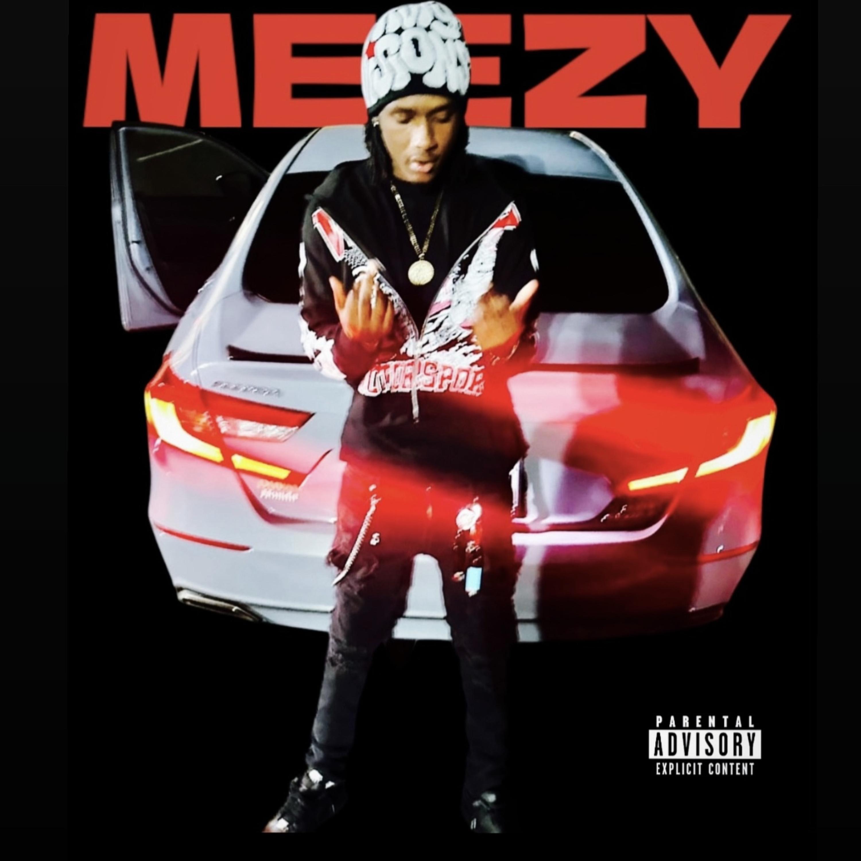 Who Tf Iz Meezy artwork