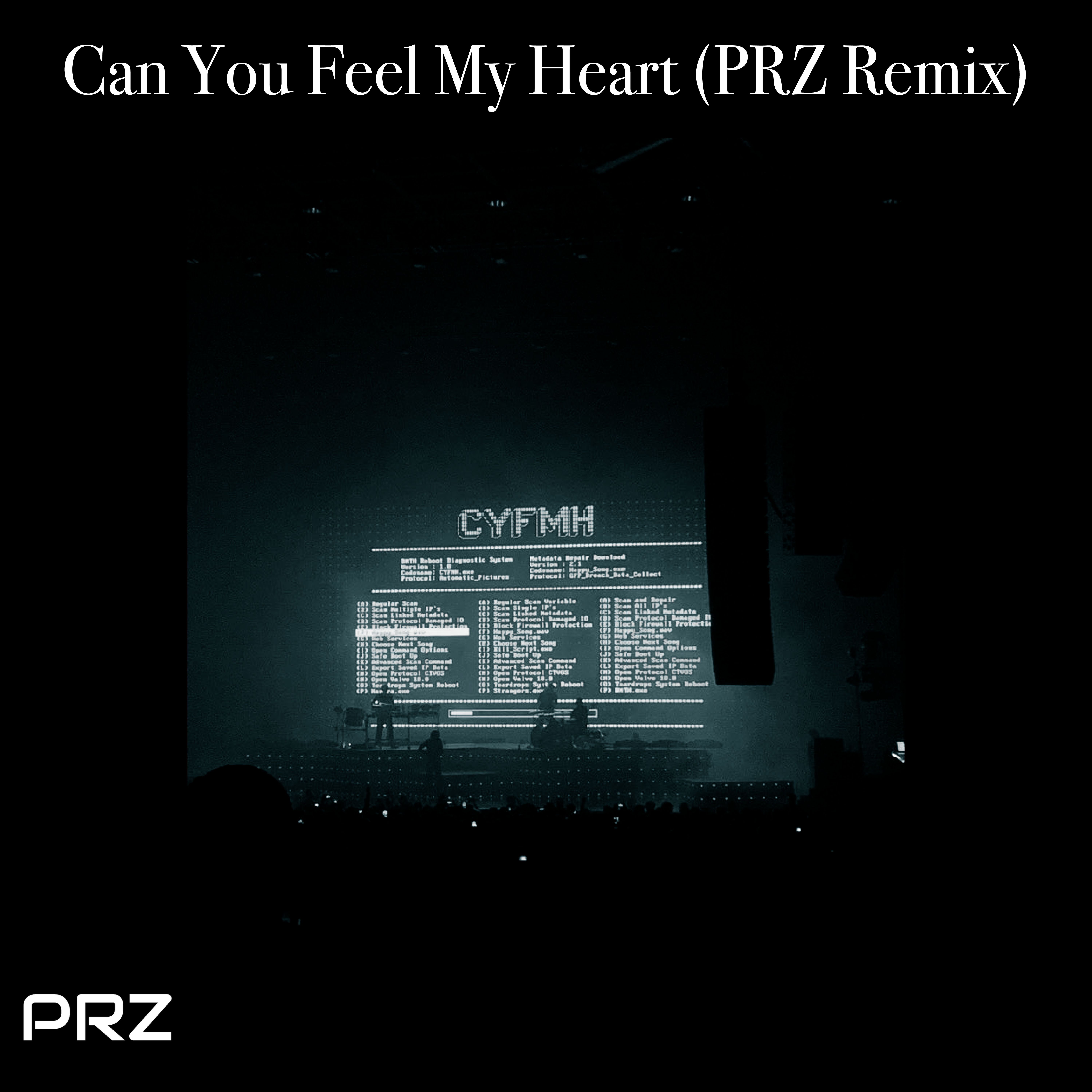 Can You Feel My Heart? (Remix) artwork