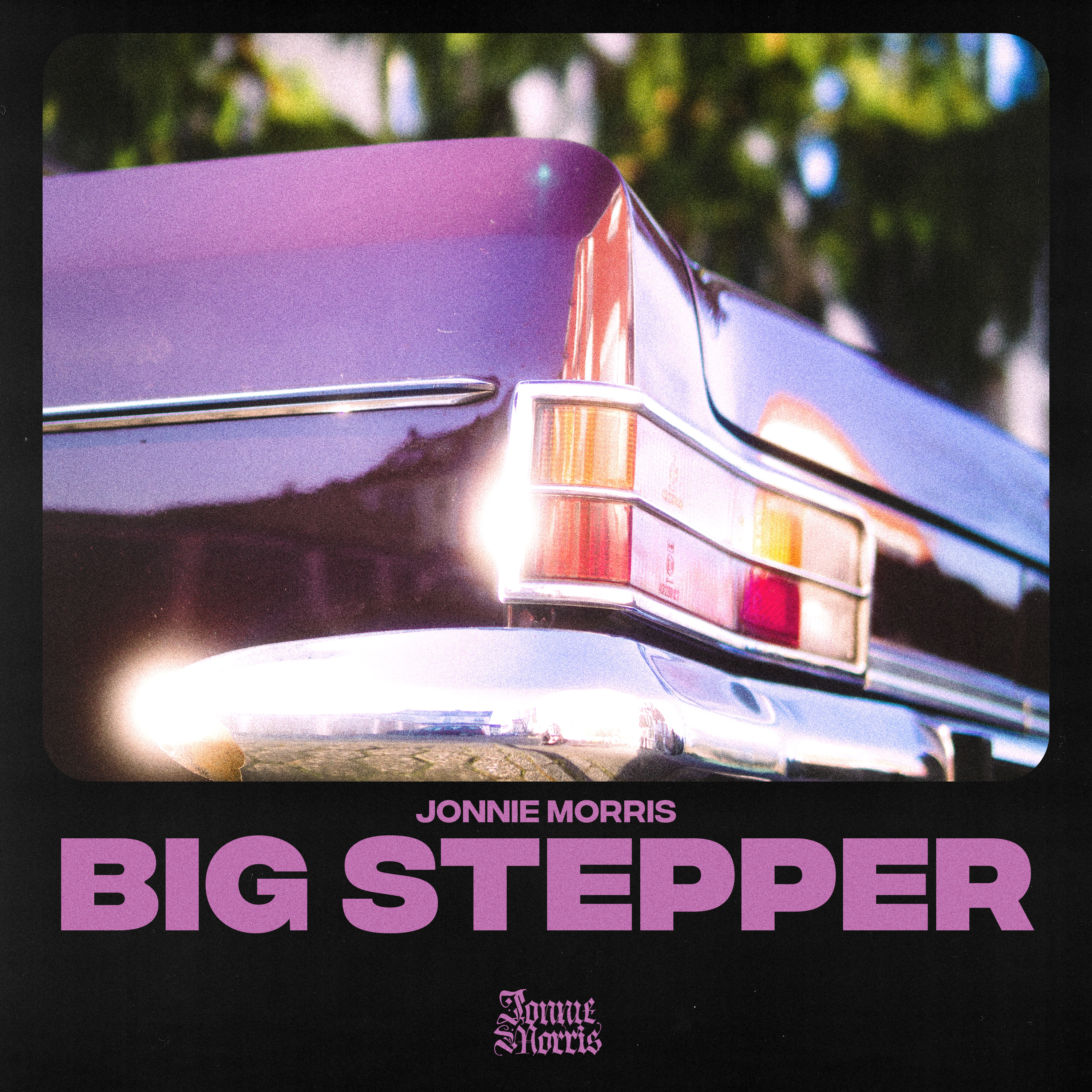 BIG STEPPER artwork