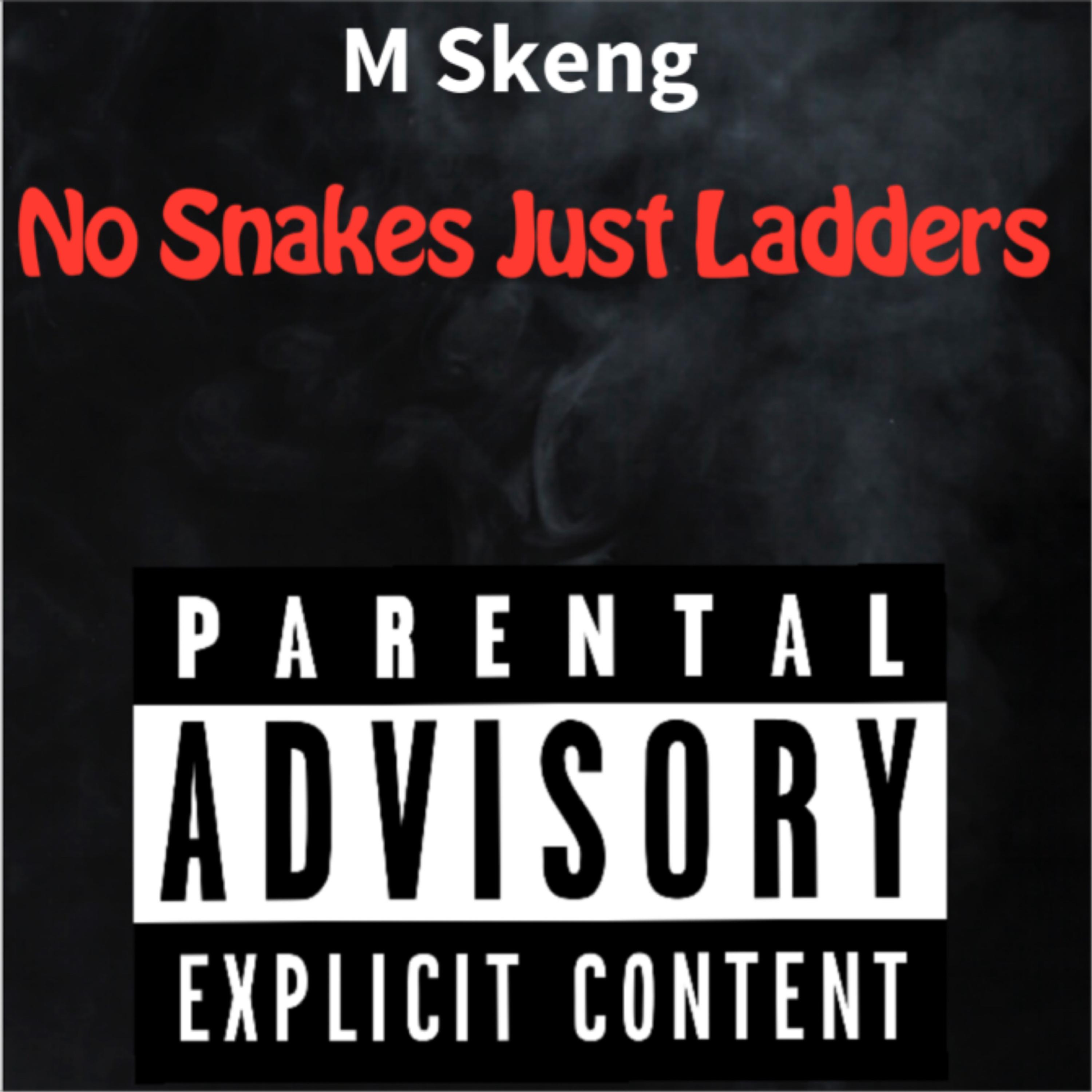 No Snakes Just Ladders artwork