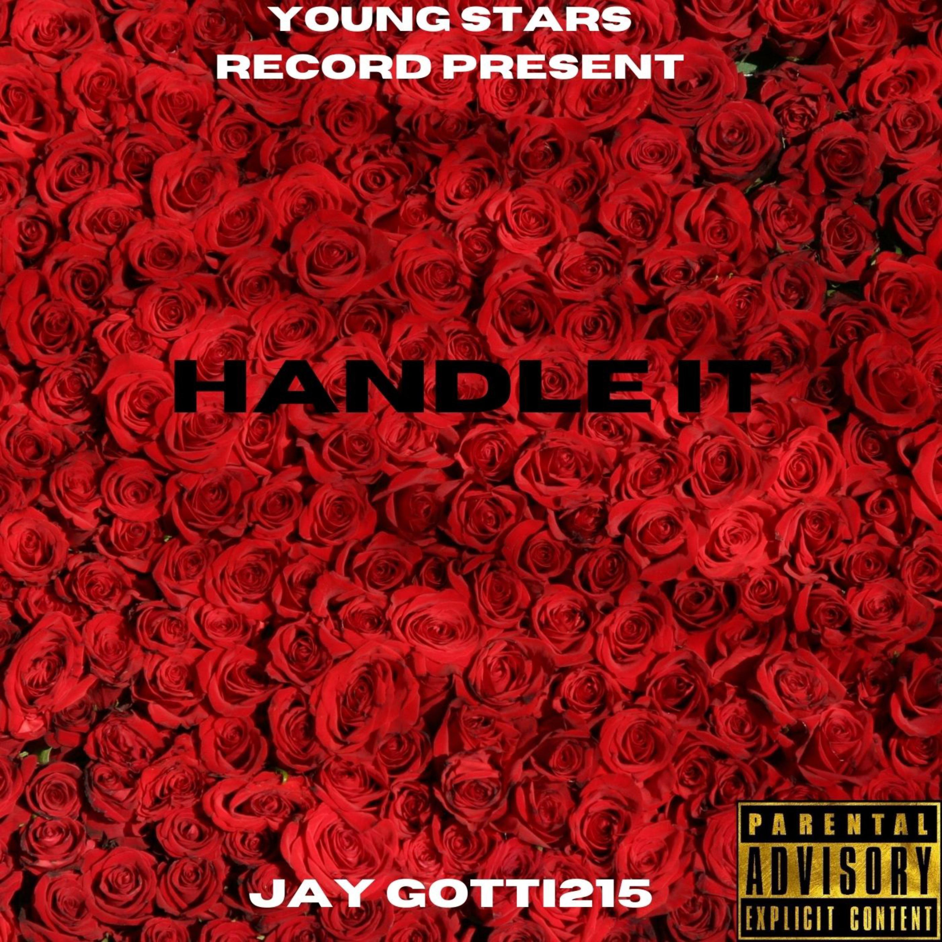 Handle It by Jay Gotti 215 cover art