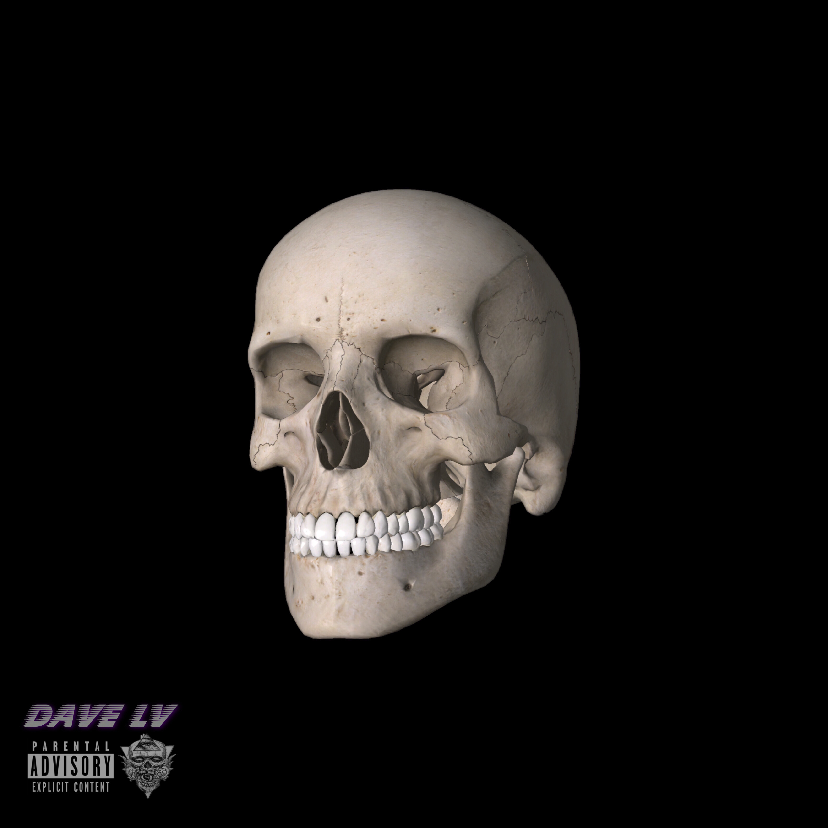 LLU artwork