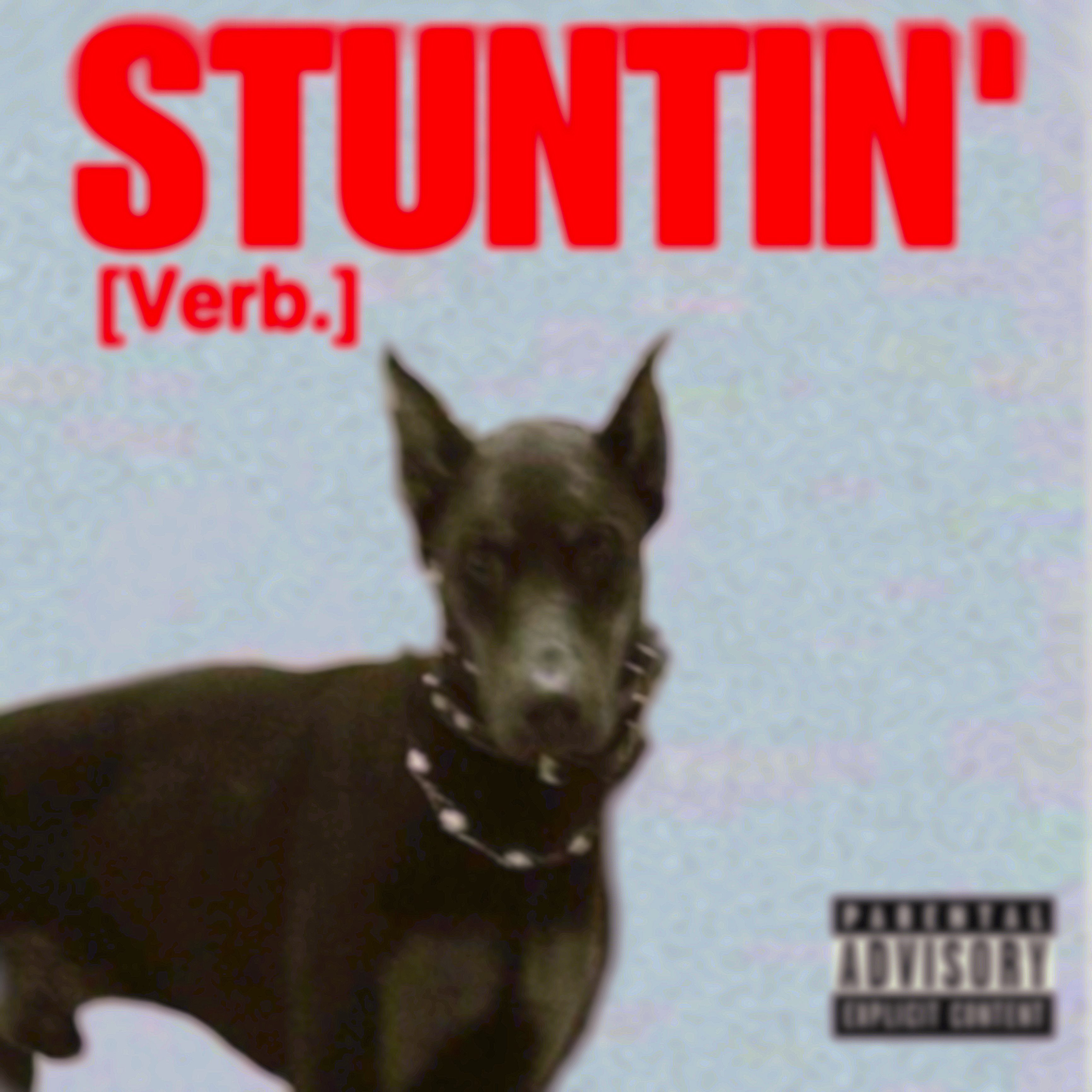 STUNTIN’ [Verb.] artwork