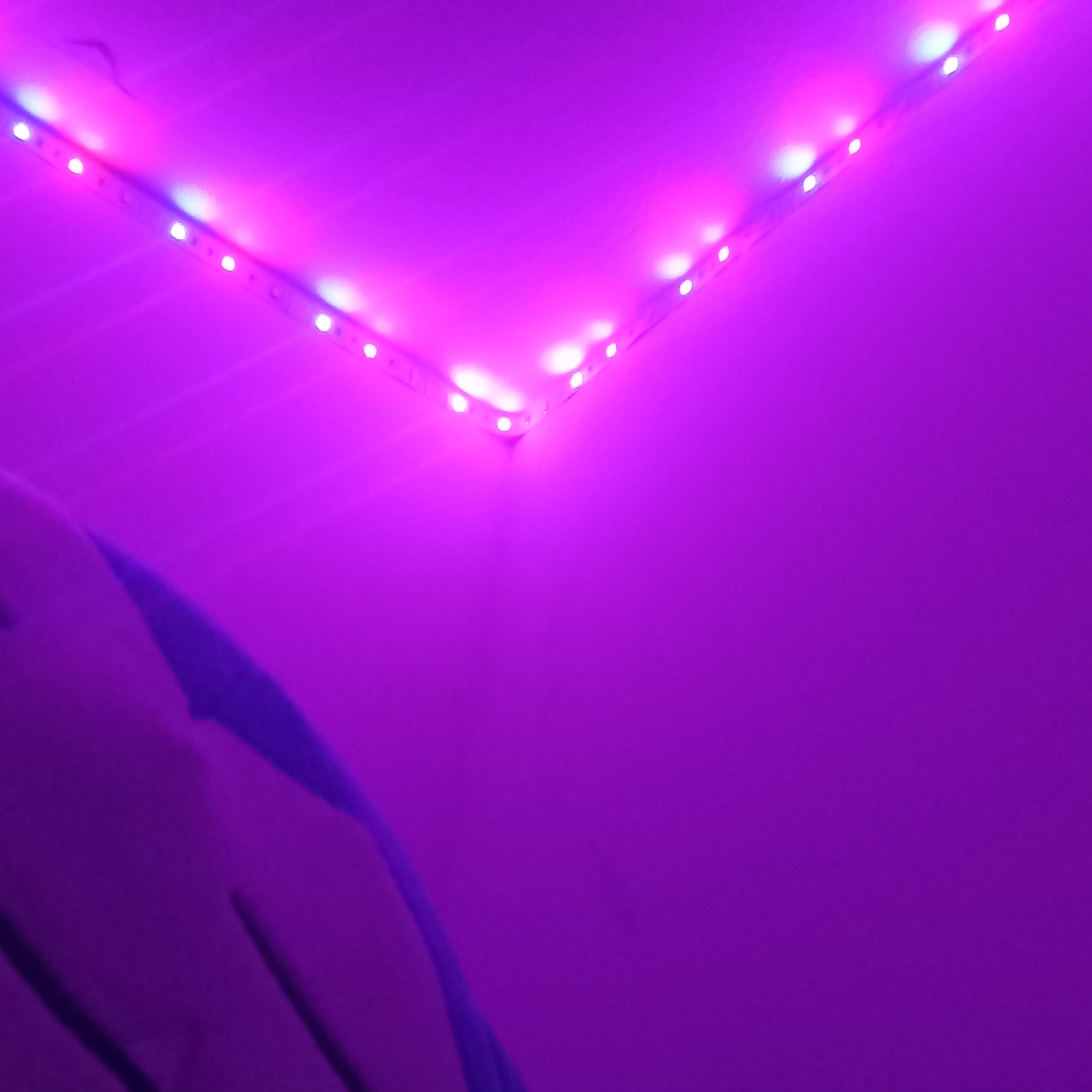 Winter Nights - sped up artwork