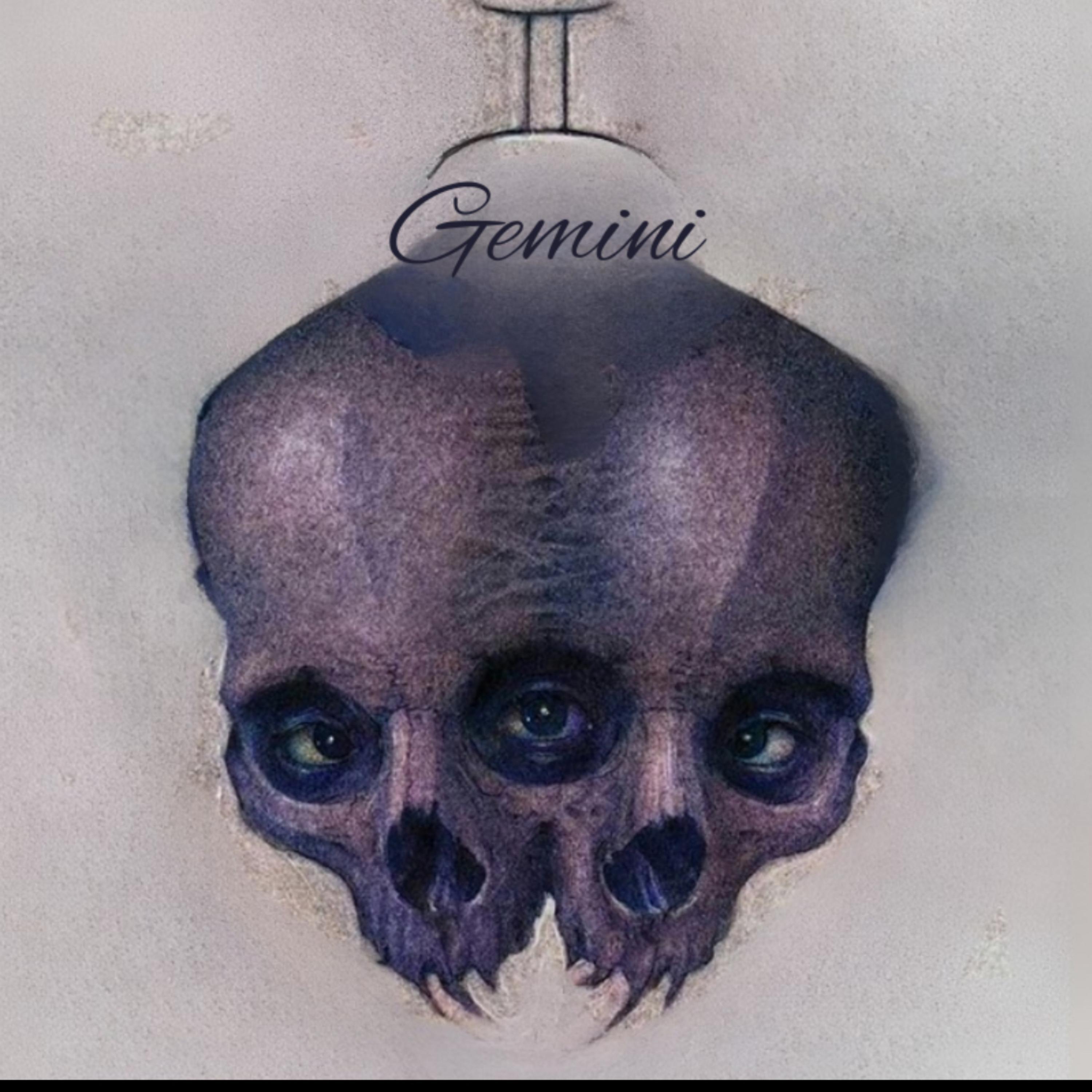 Gemini artwork