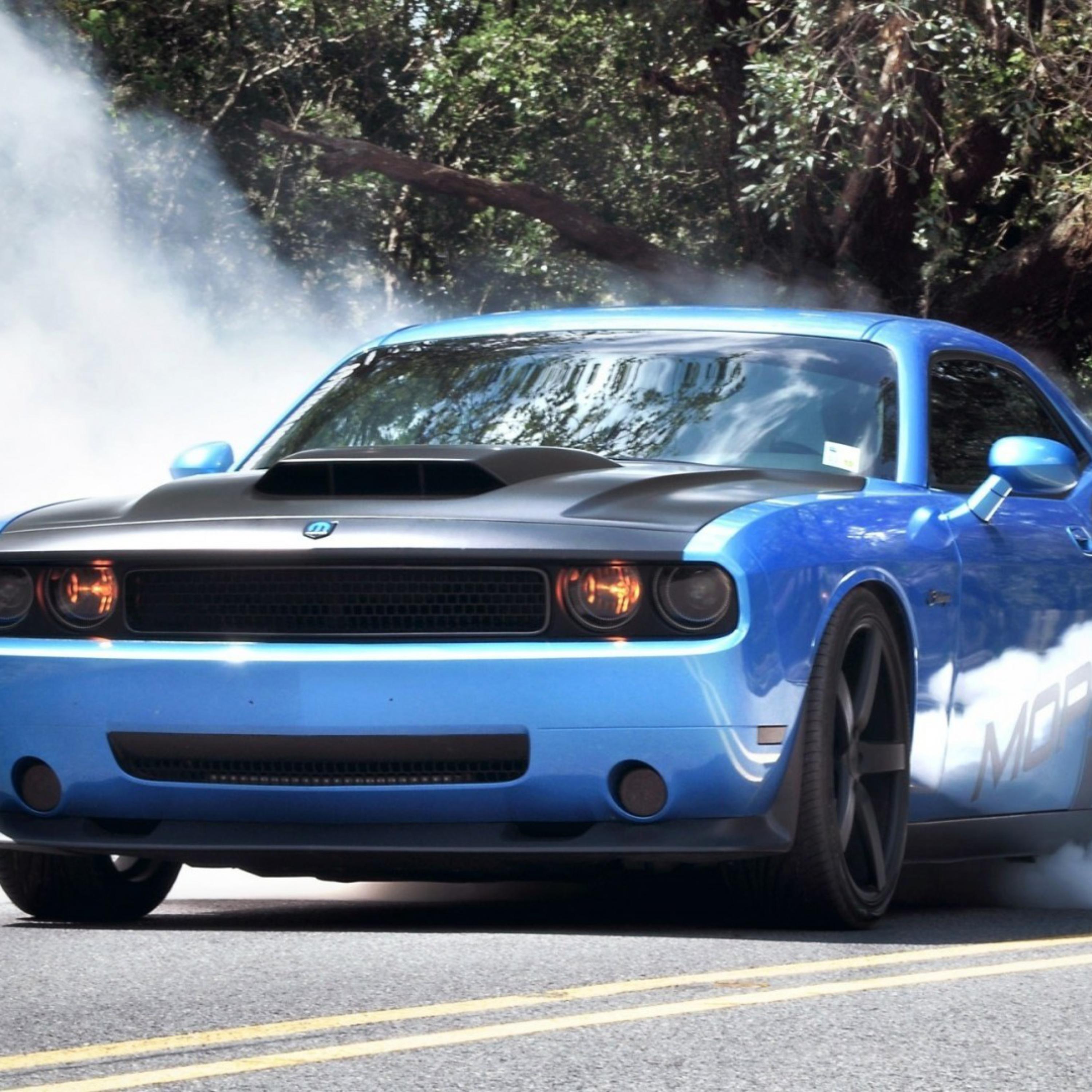 HELLCAT artwork