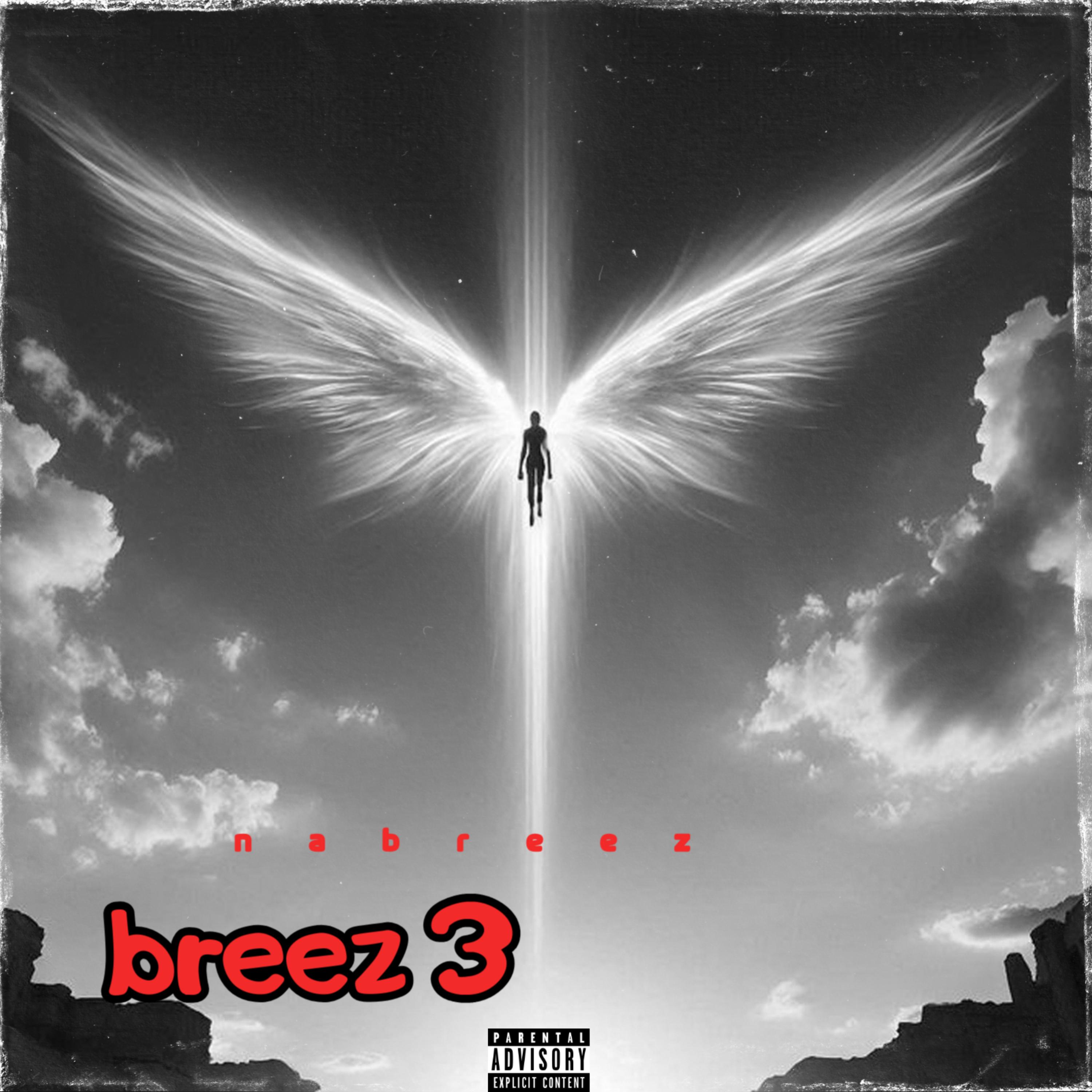 Breez 3 artwork