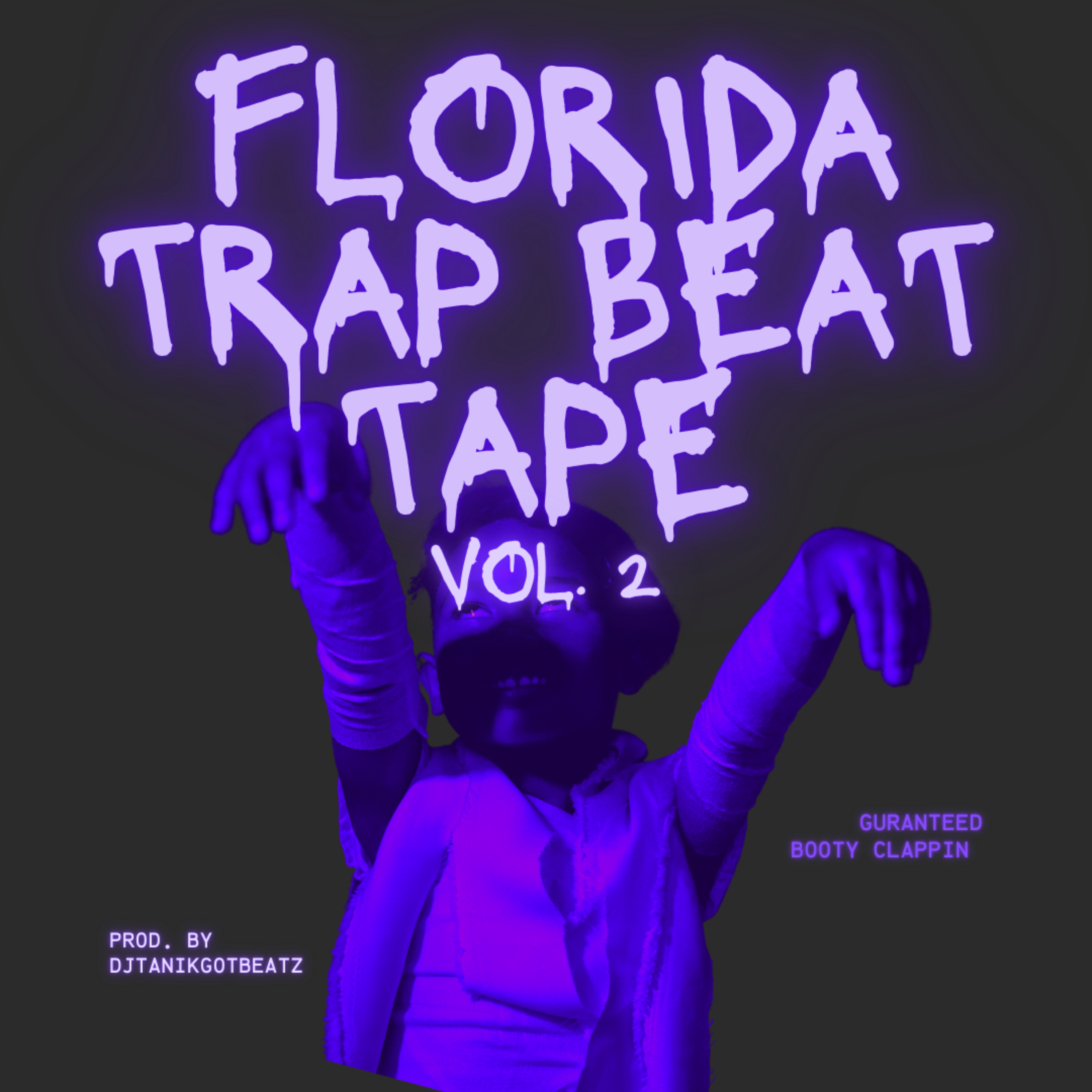 FLORIDA TRAP BEAT TAPE VOL.2 artwork