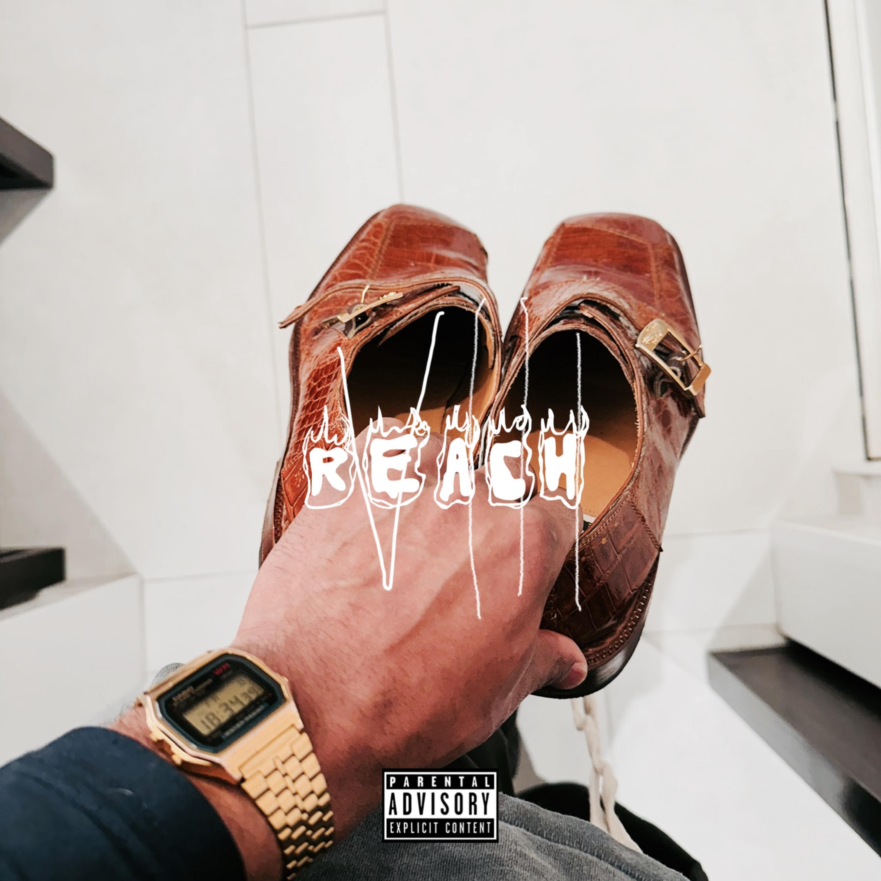 REACH V3 artwork