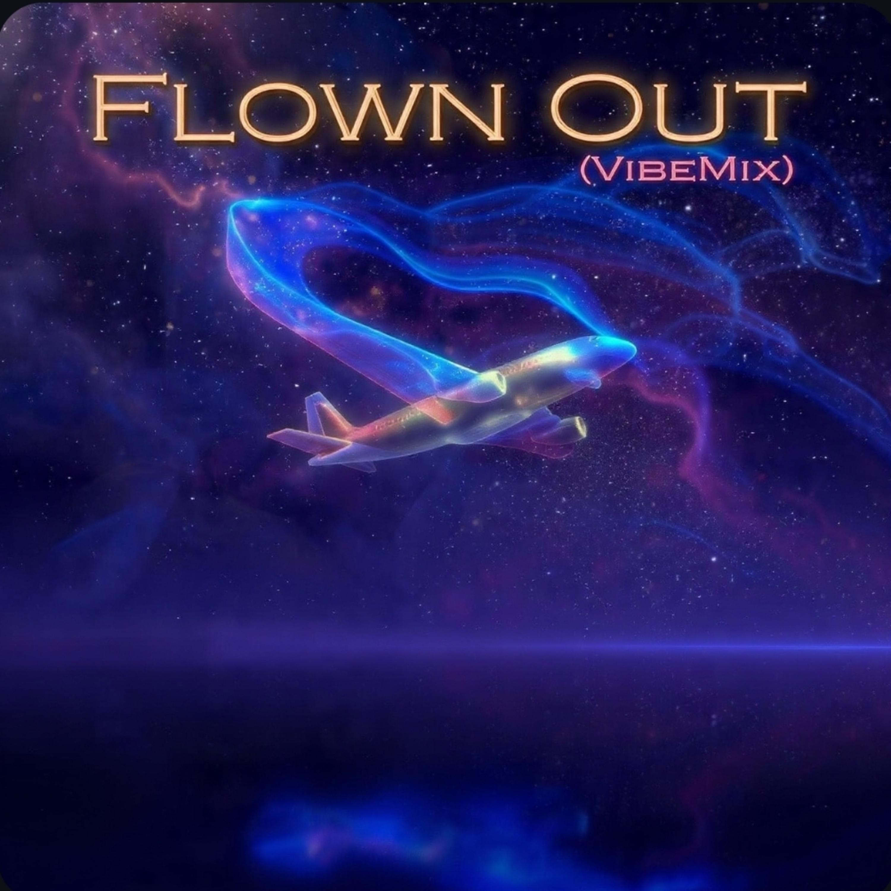 Flown Out (VibeMix) artwork
