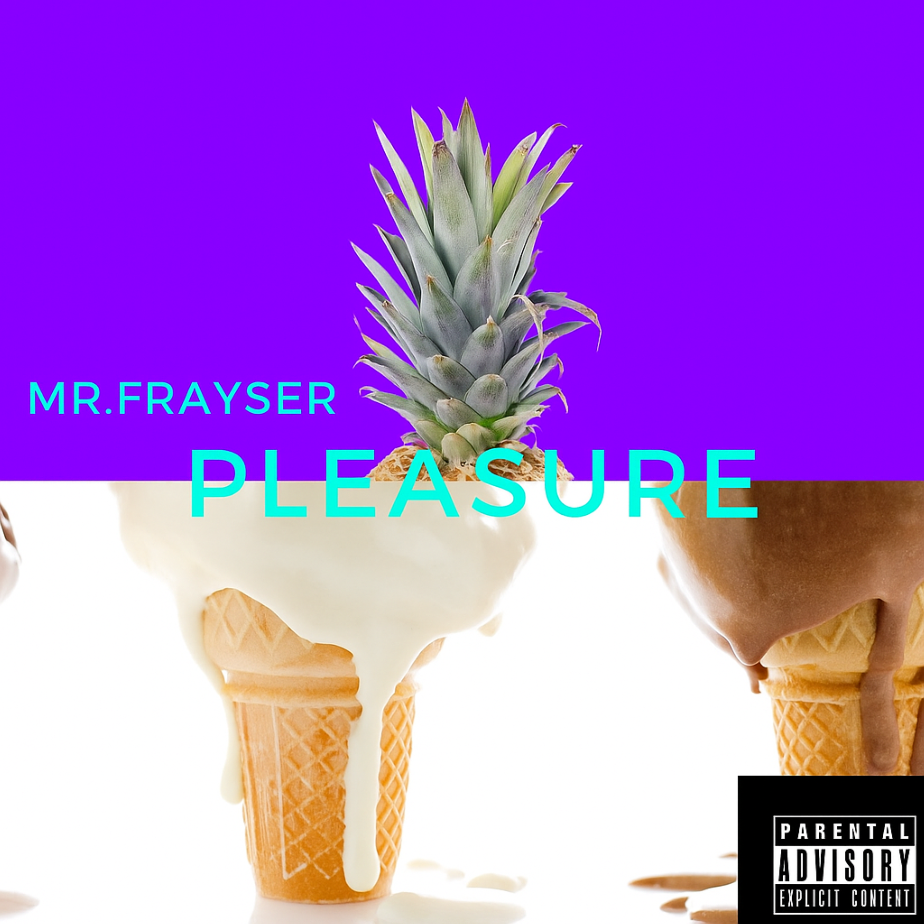 Pleasure  artwork