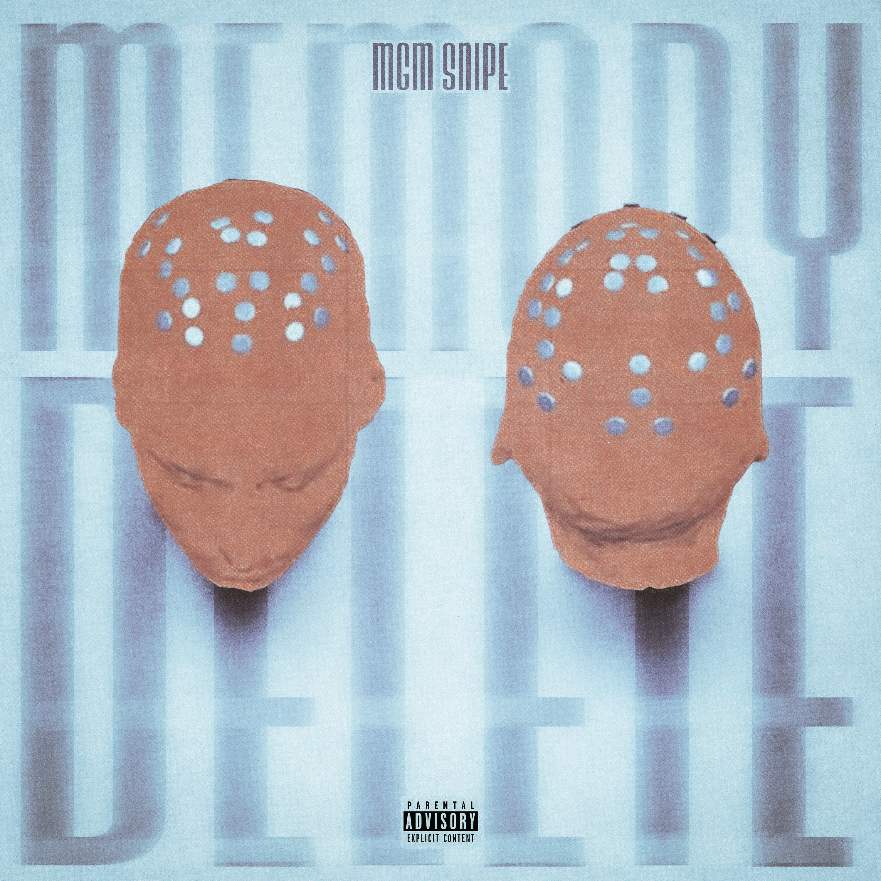 Memory Delete artwork