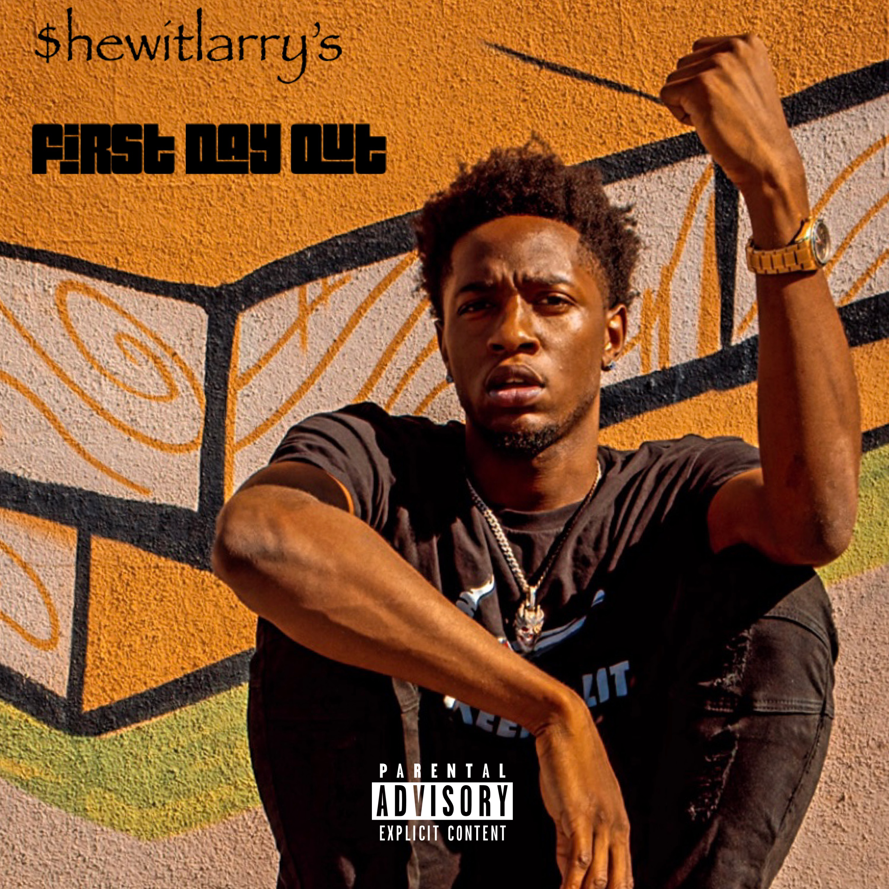 First Day Out by $hewitlarry cover art