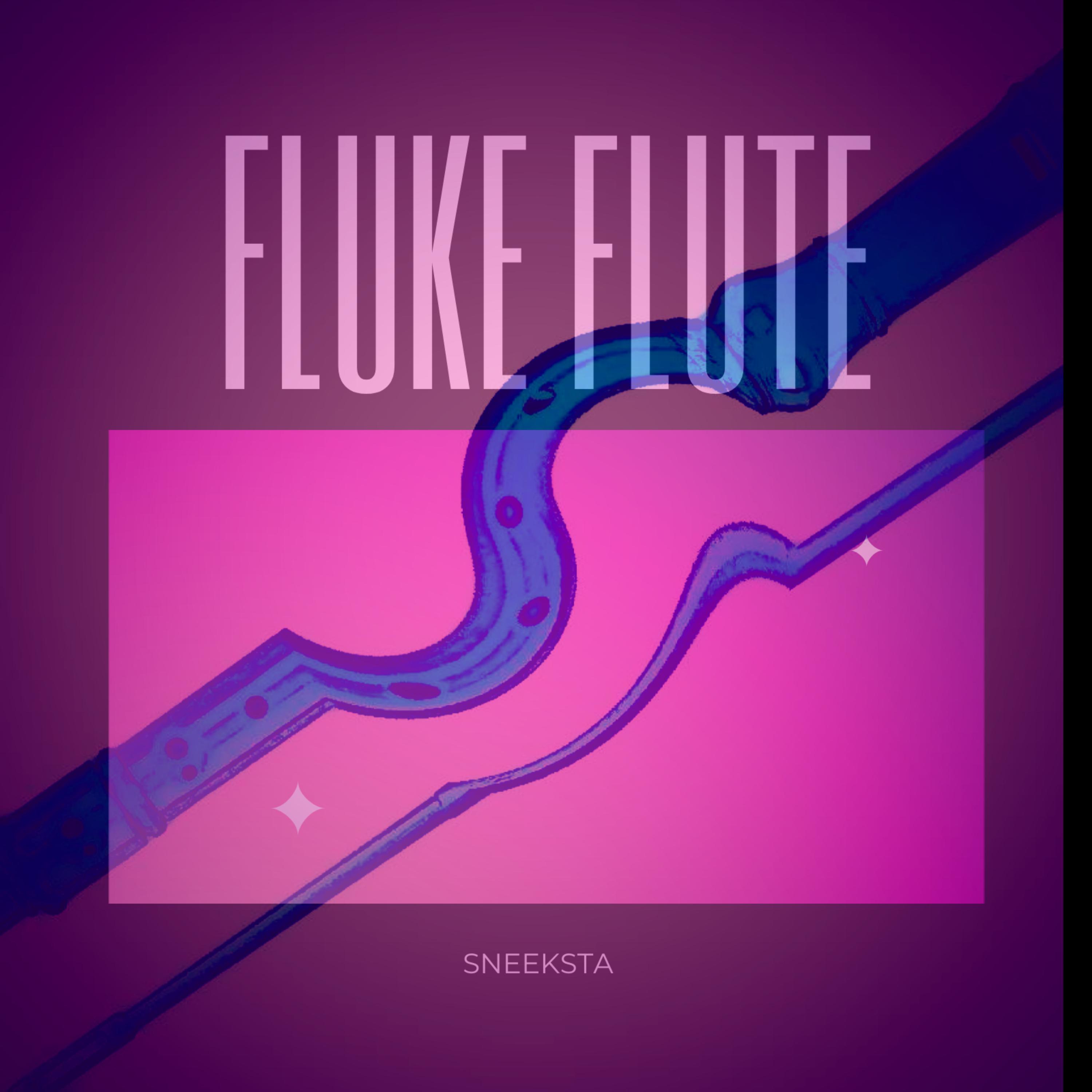 FLUKE FLUTE artwork