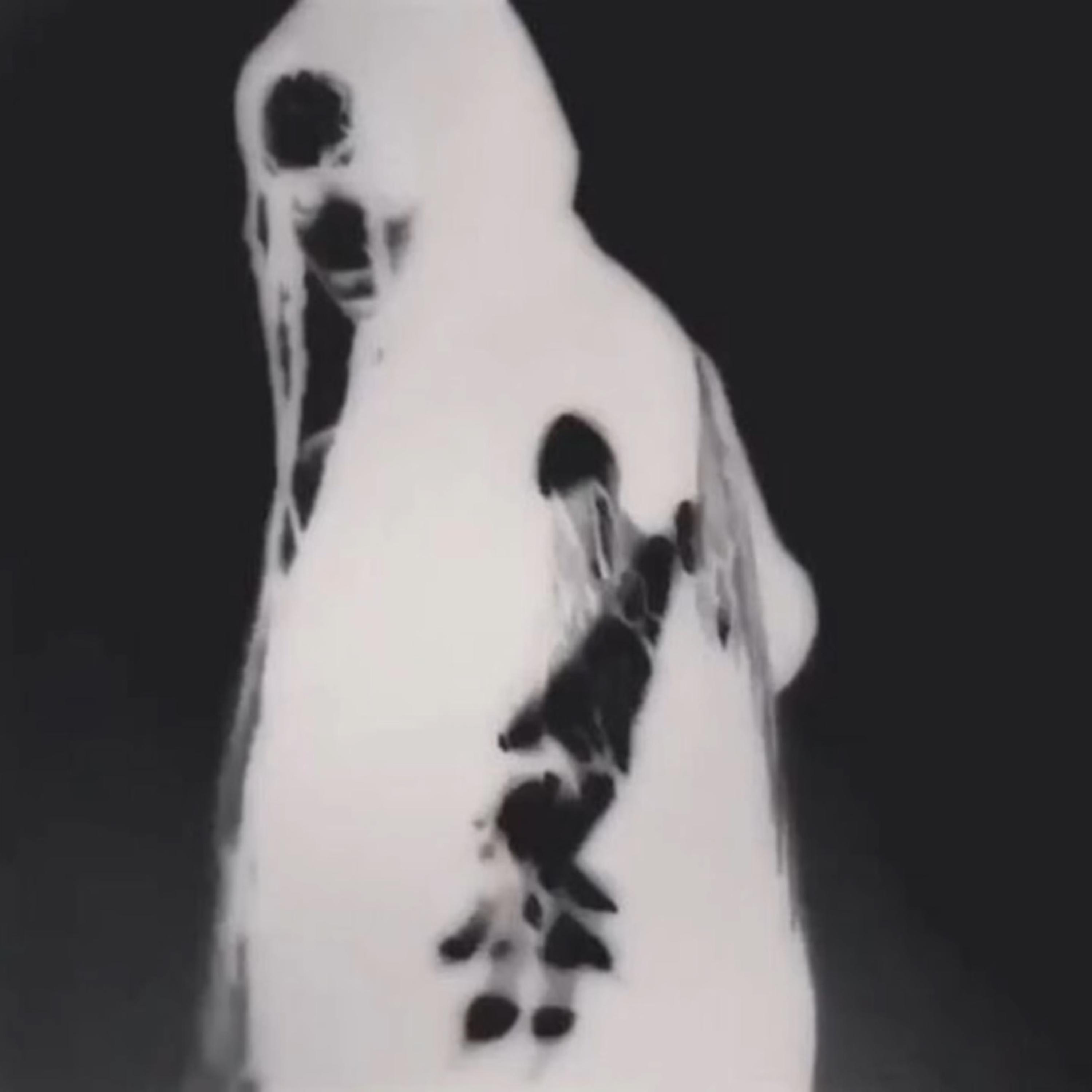 #idntevntrustu artwork