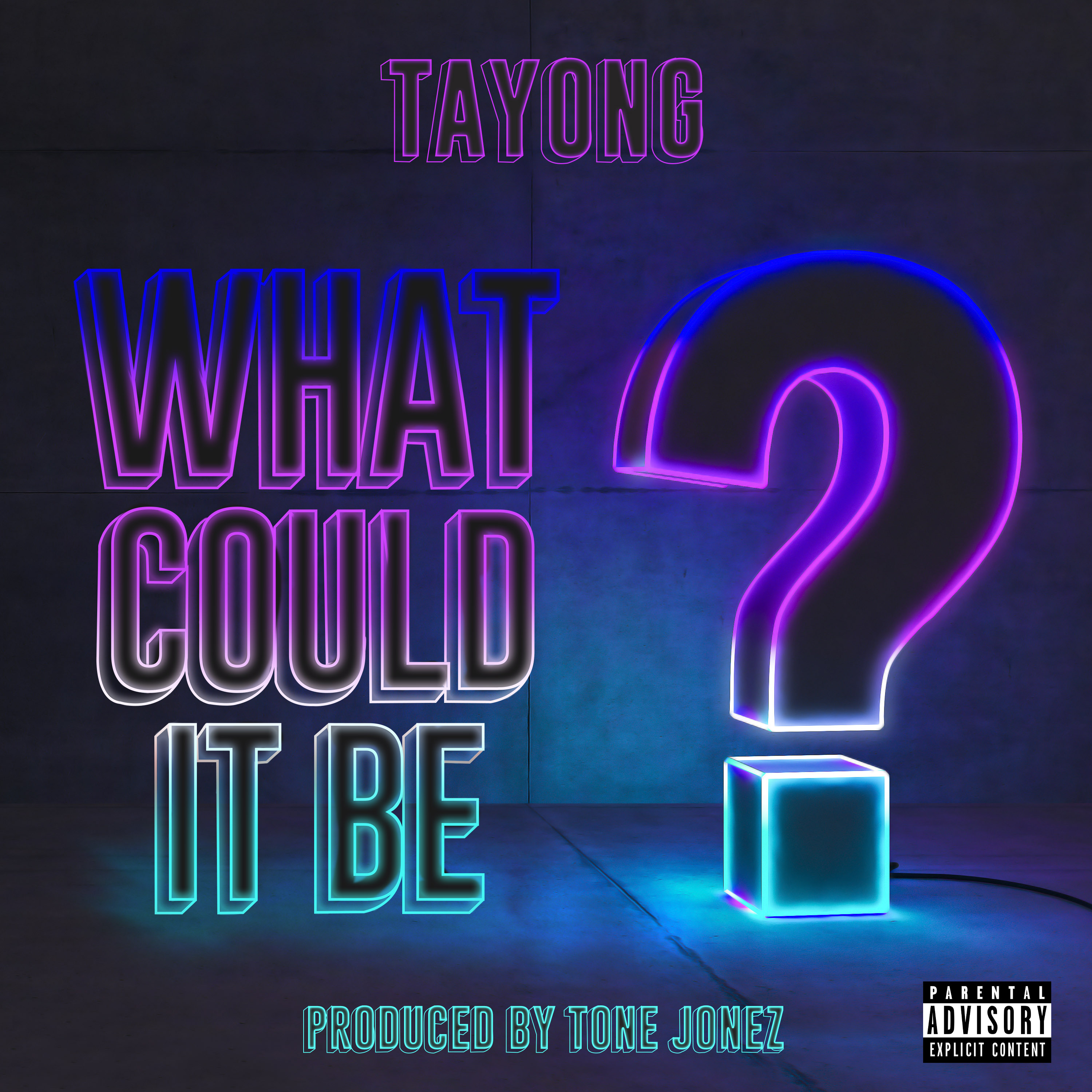 What Could It Be? artwork