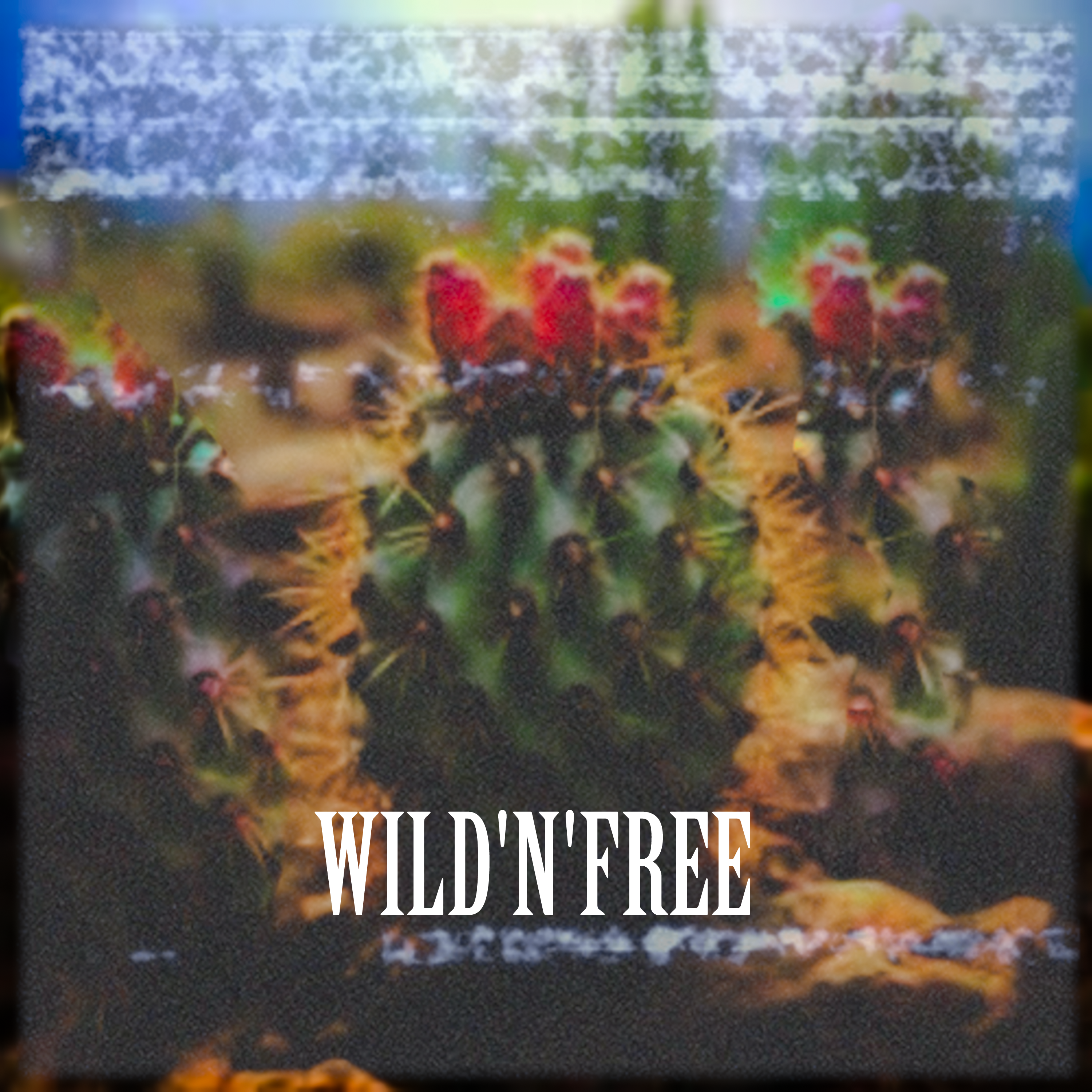 WILD'N'FREE artwork