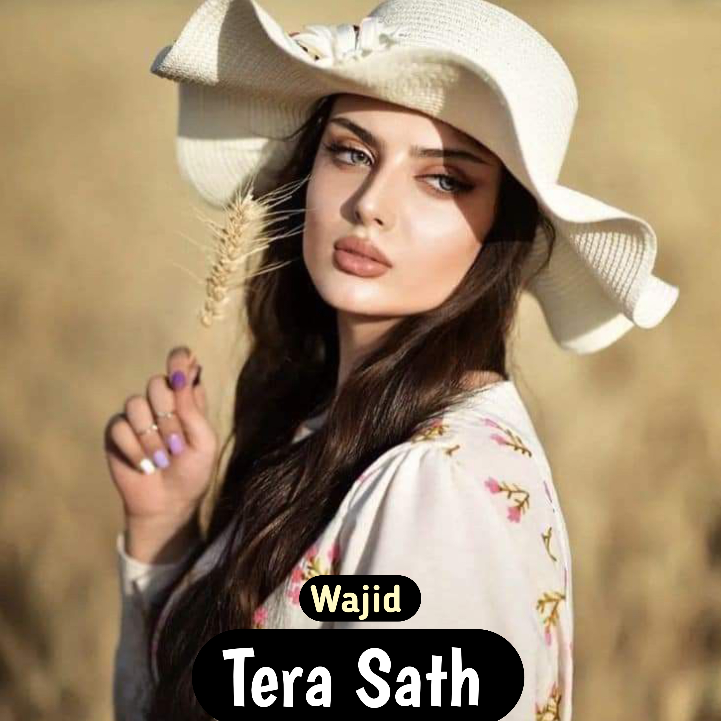 Tera Sath artwork