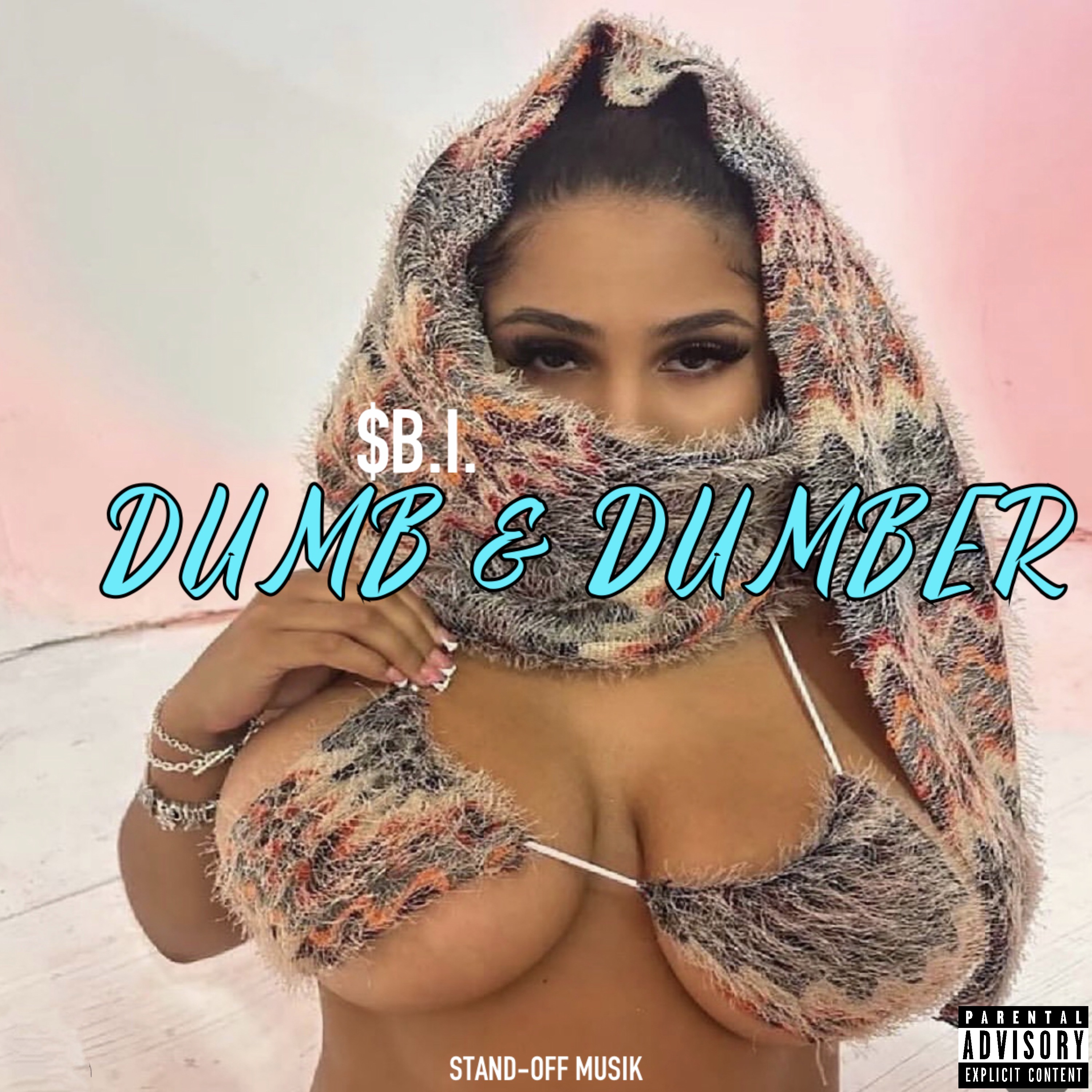 DUMB & DUMBER artwork