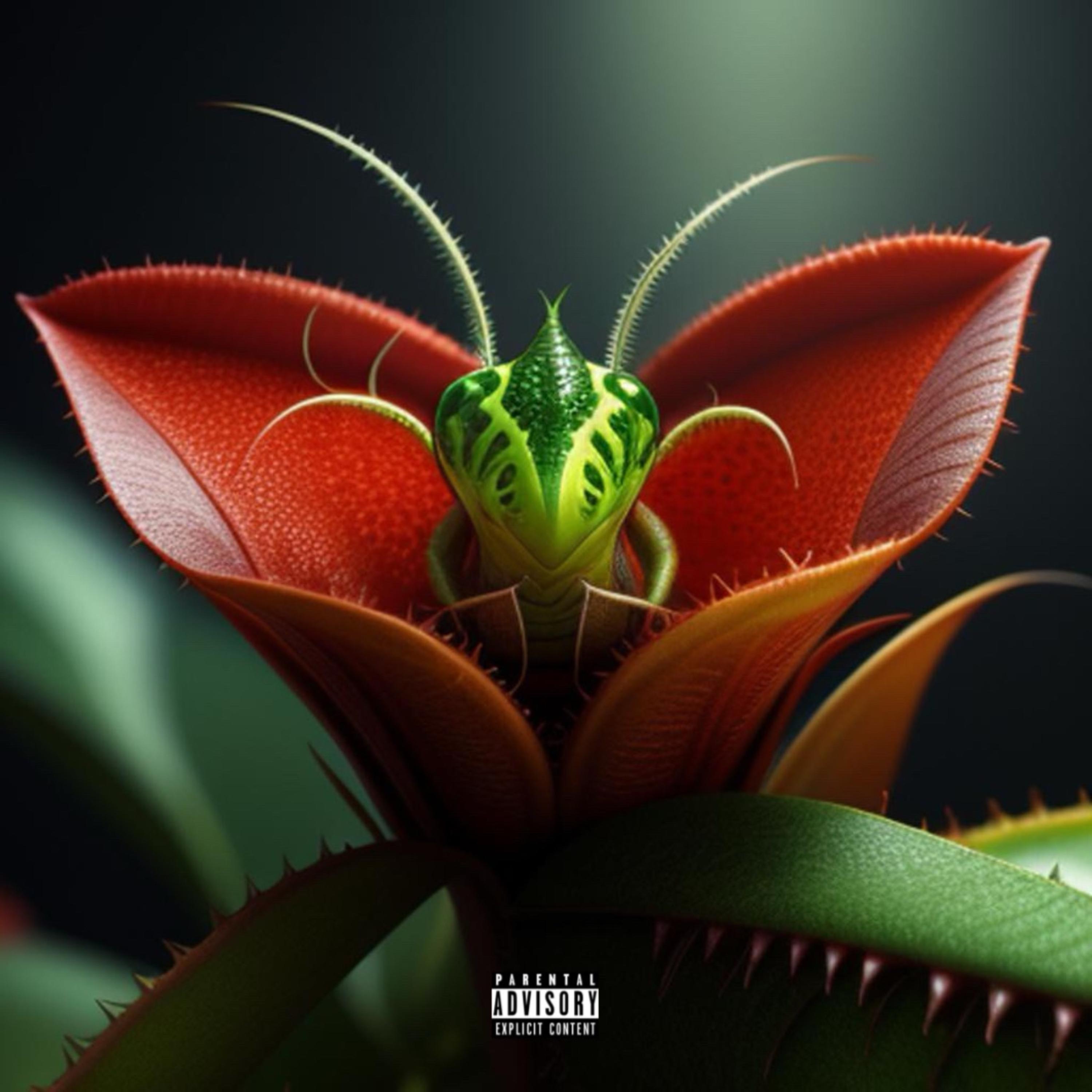 VENUS FLYTRAP artwork