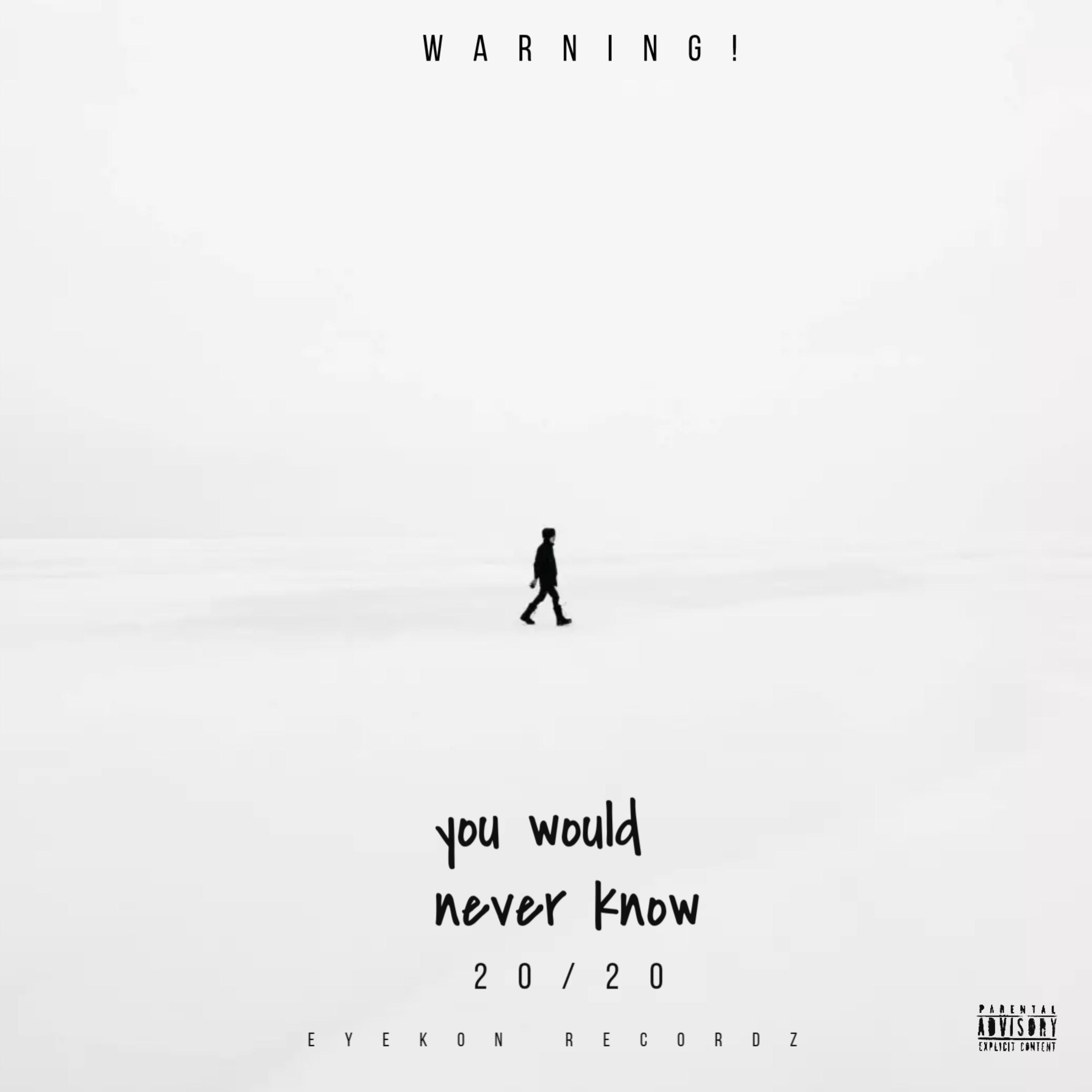 you would never know artwork