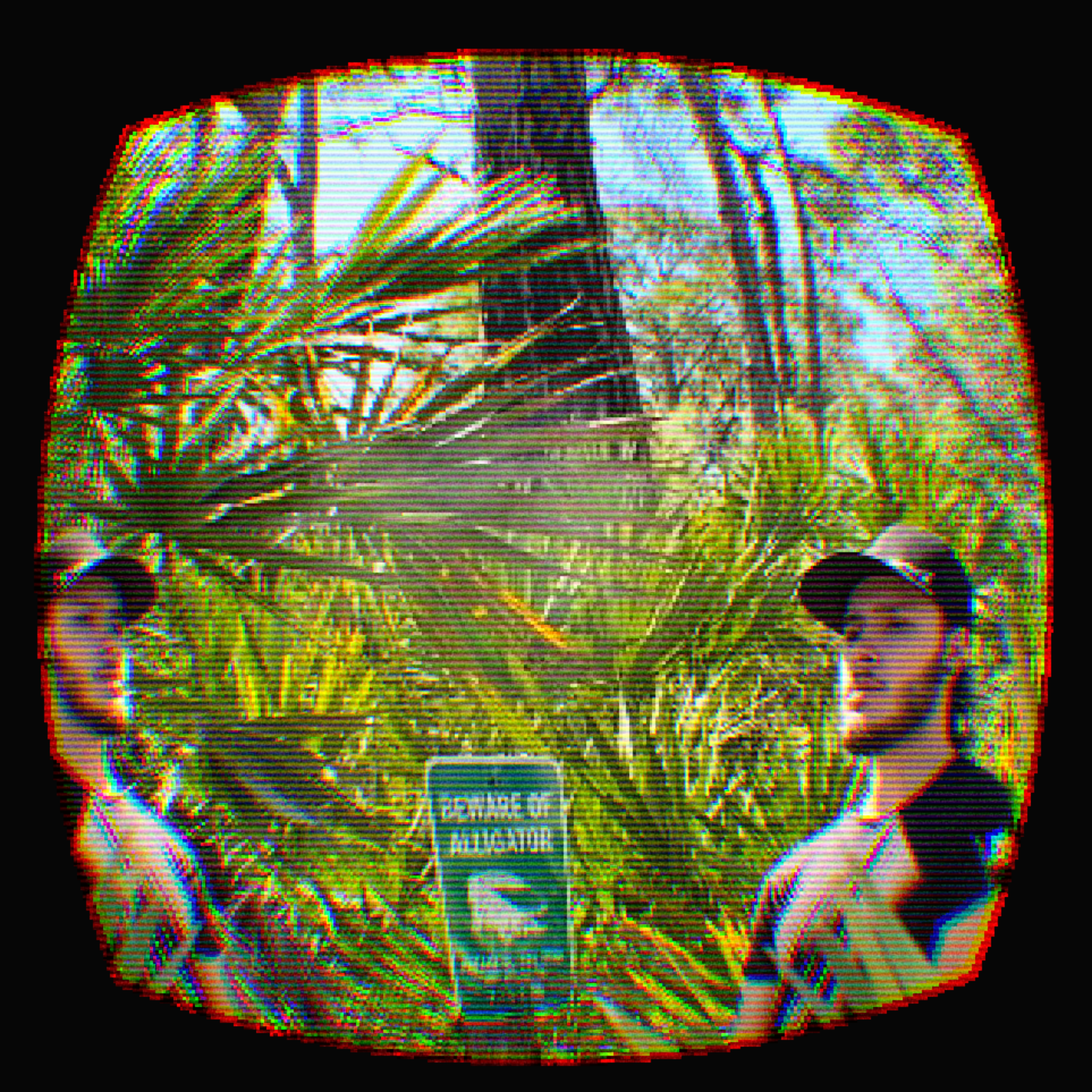 The Instrumentals II artwork
