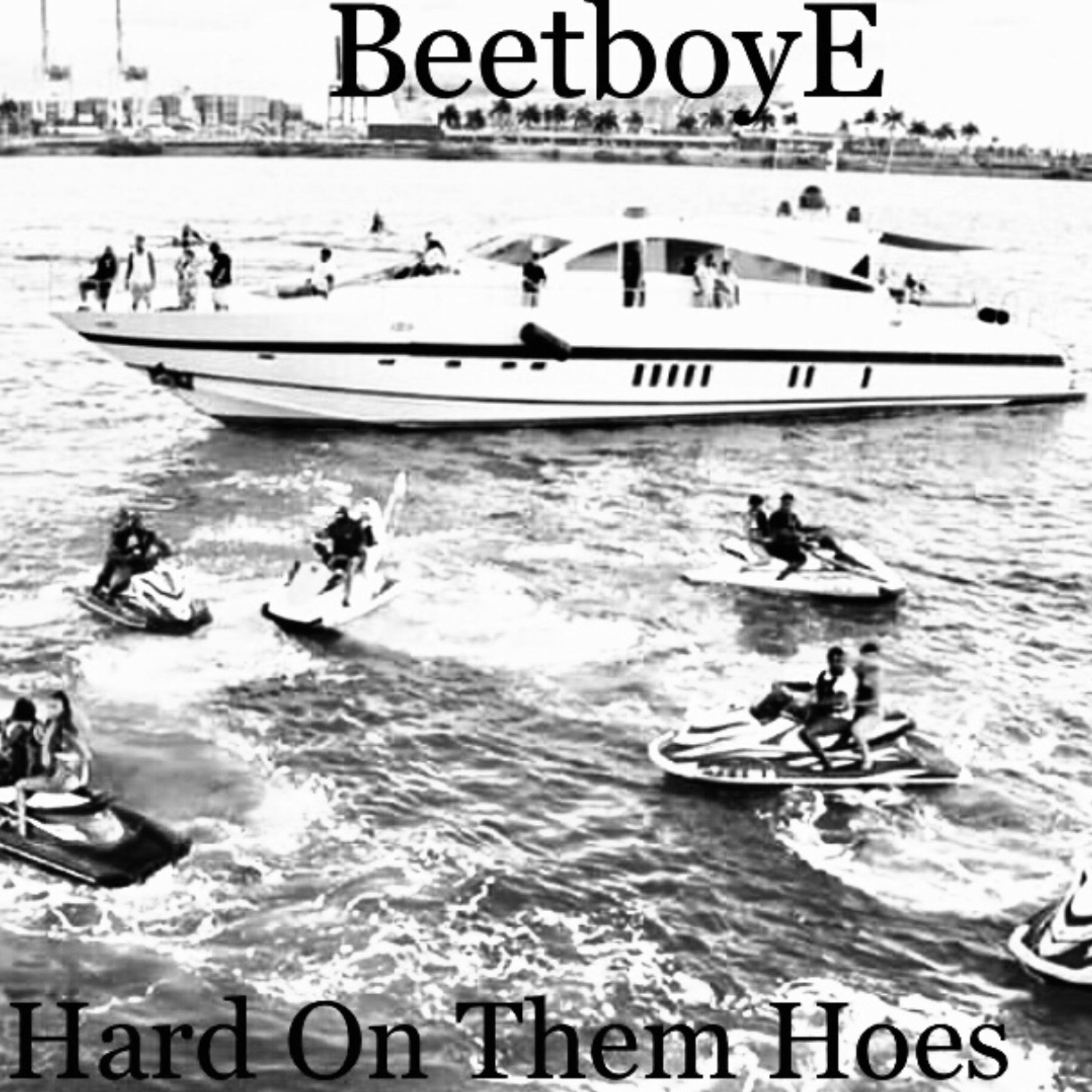 Hard On Them Hoes by BeetboyE cover art