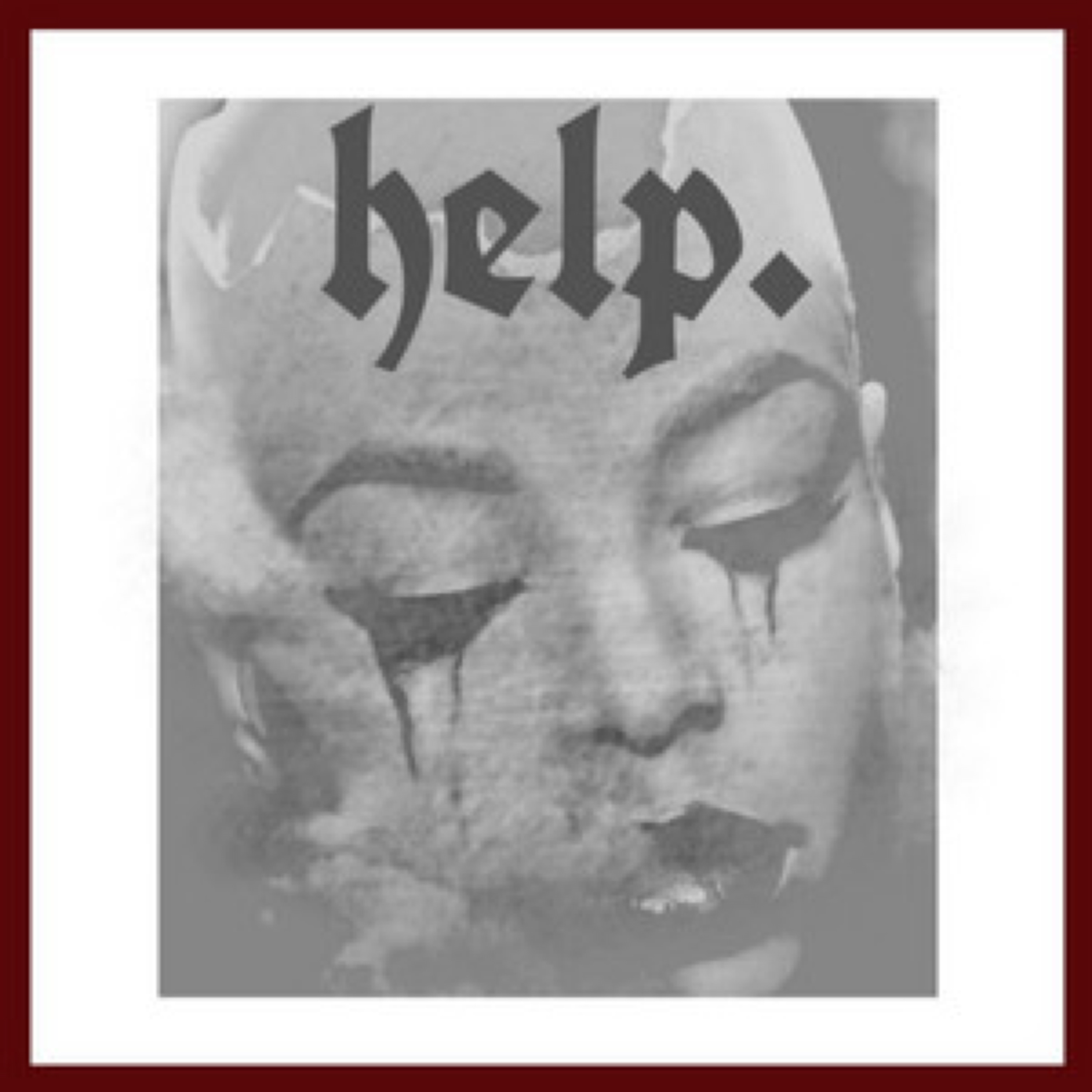 Help. artwork