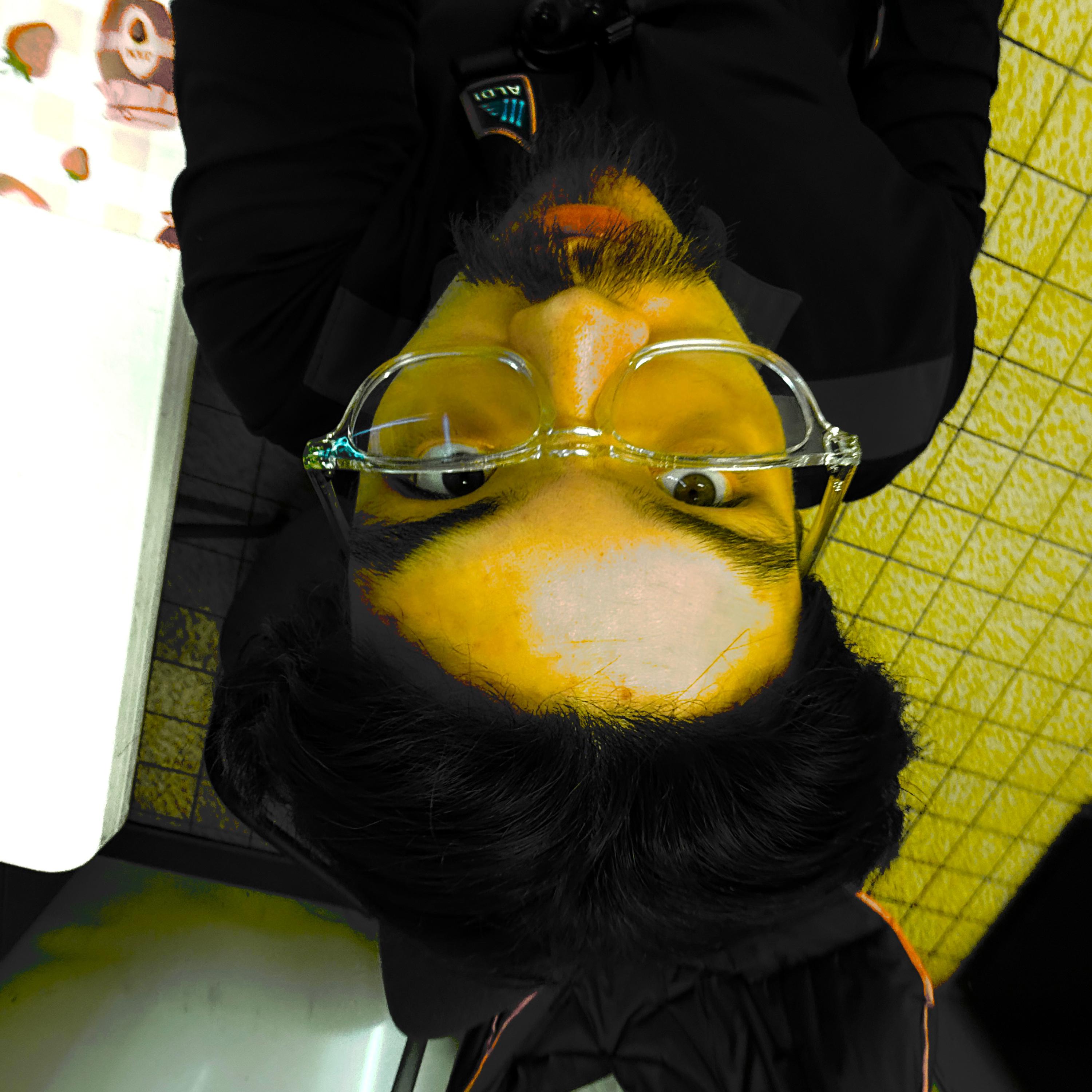 Sonically Pleasing 2 artwork