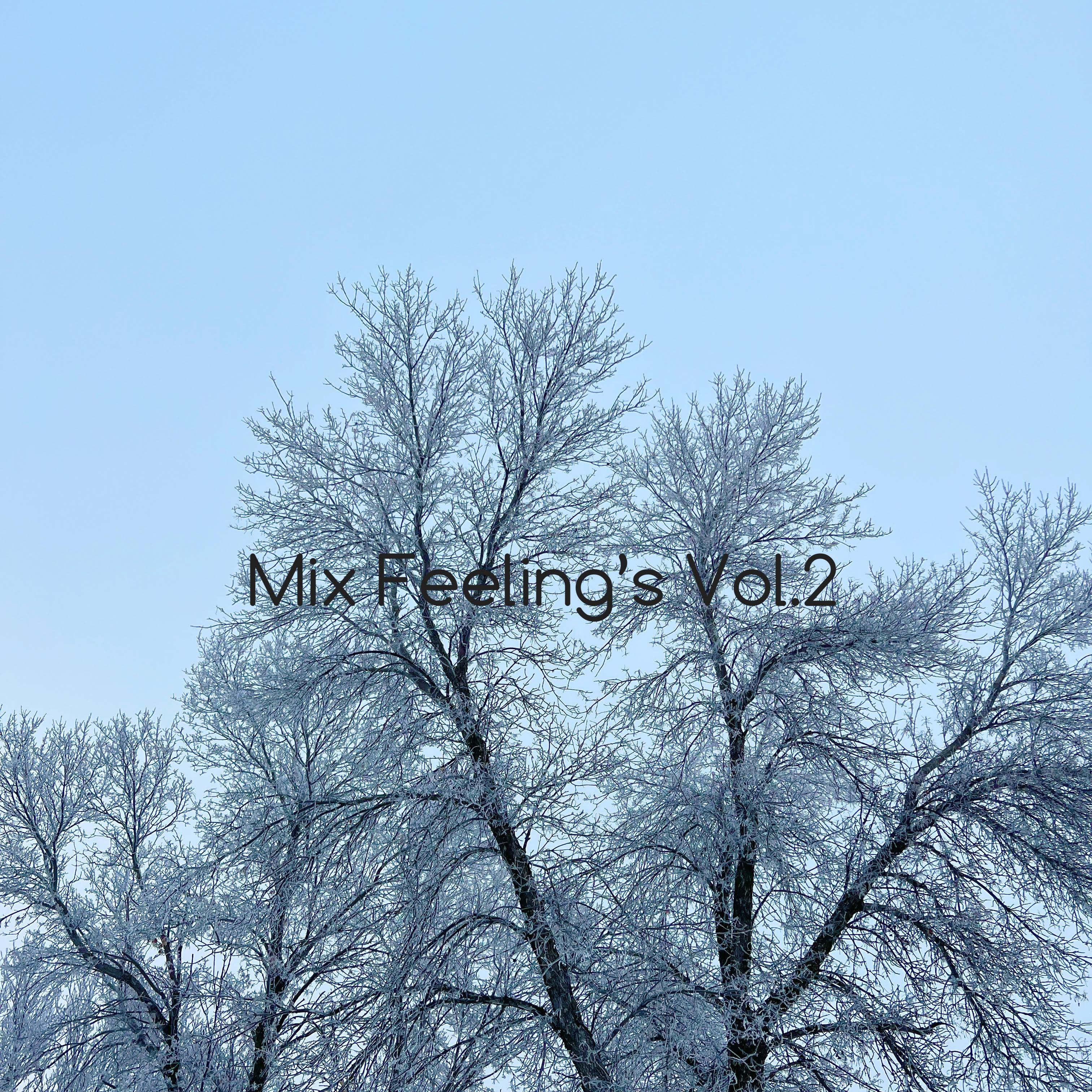 Mix feeling's Vol.2 artwork