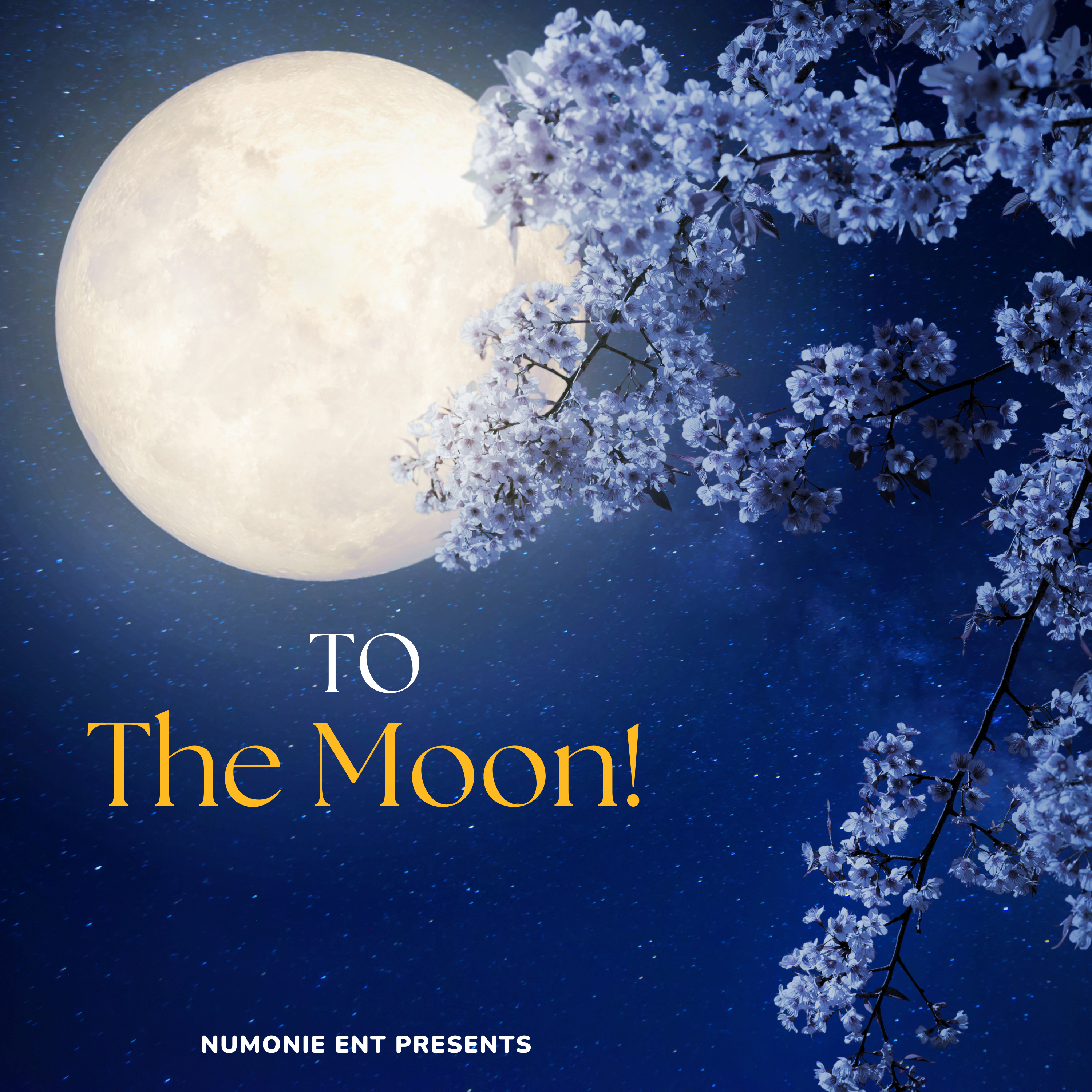 To The Moon artwork