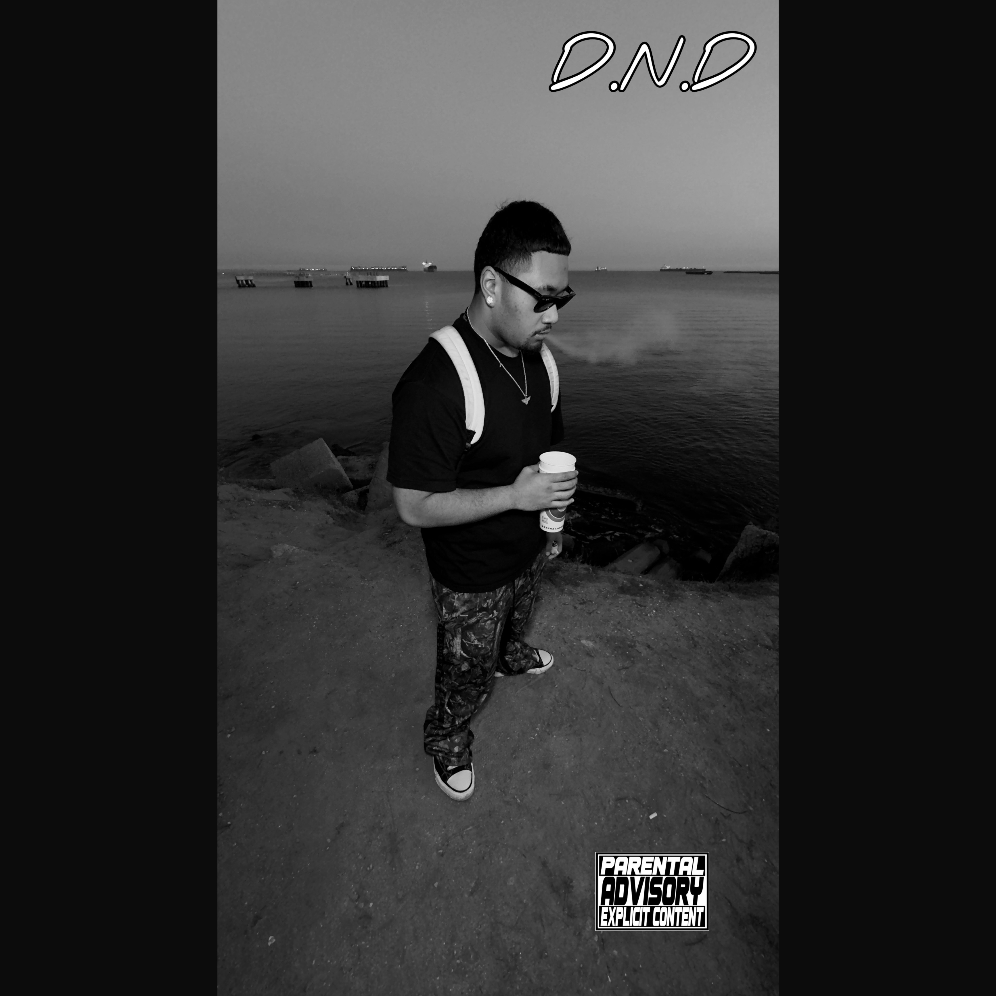 D.N.D artwork