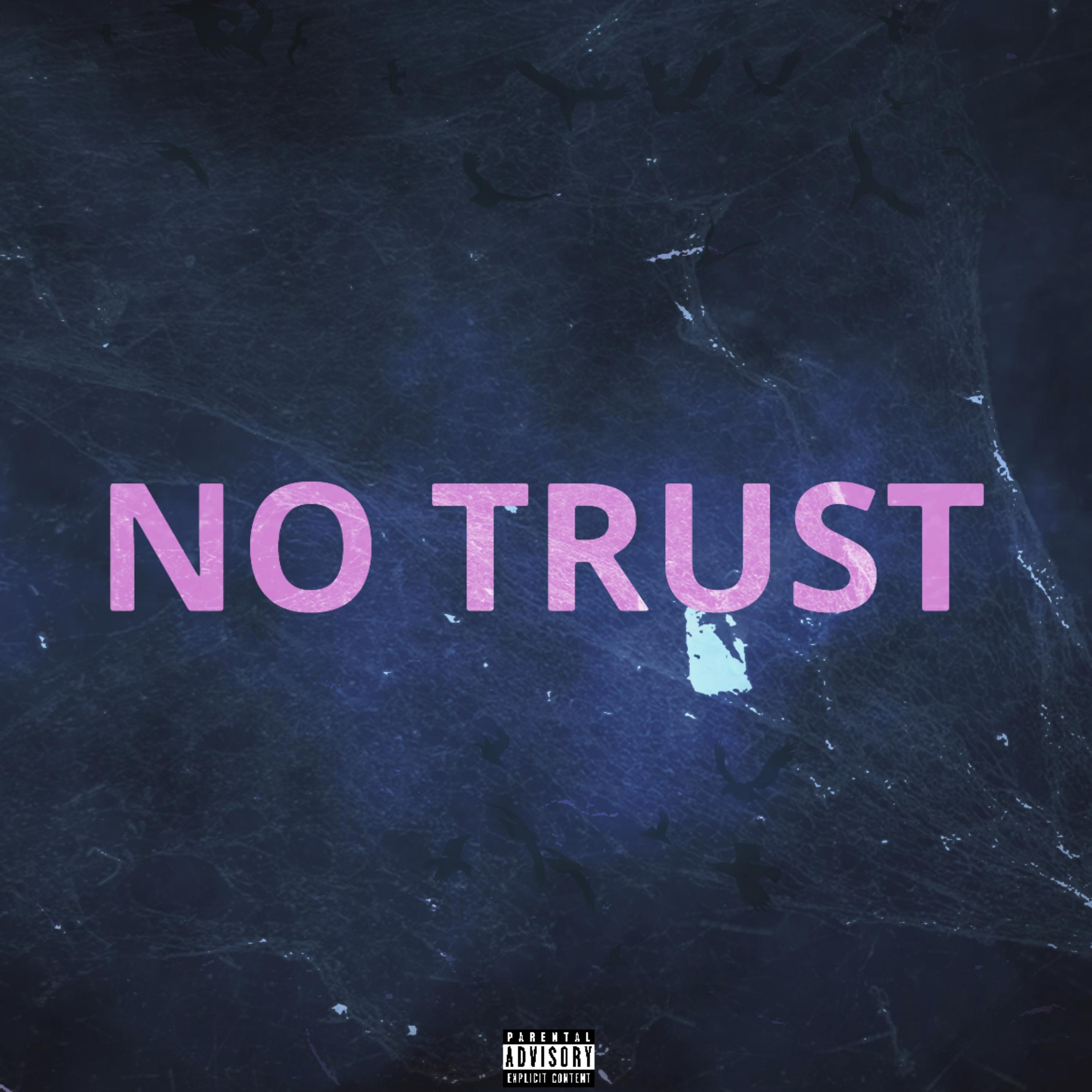 No Trust artwork
