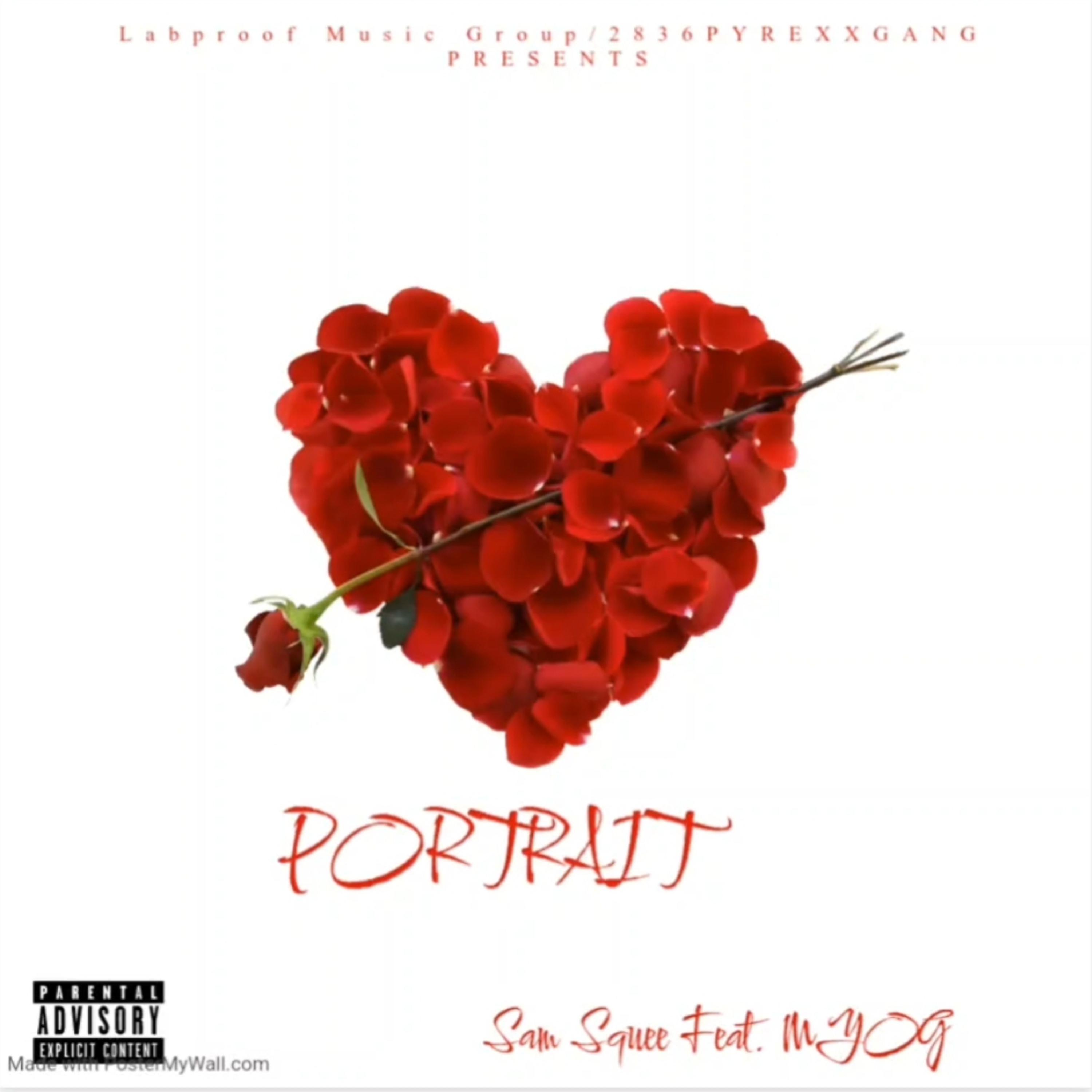 Portrait  by Sam Squee cover art