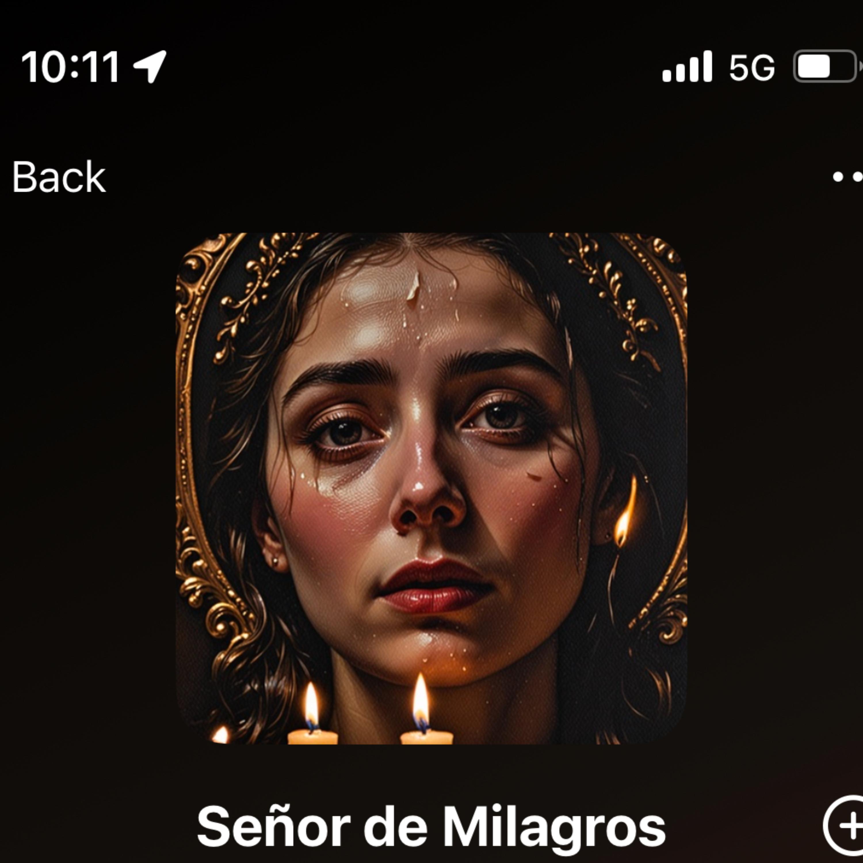 Senor De Los Milagros artwork