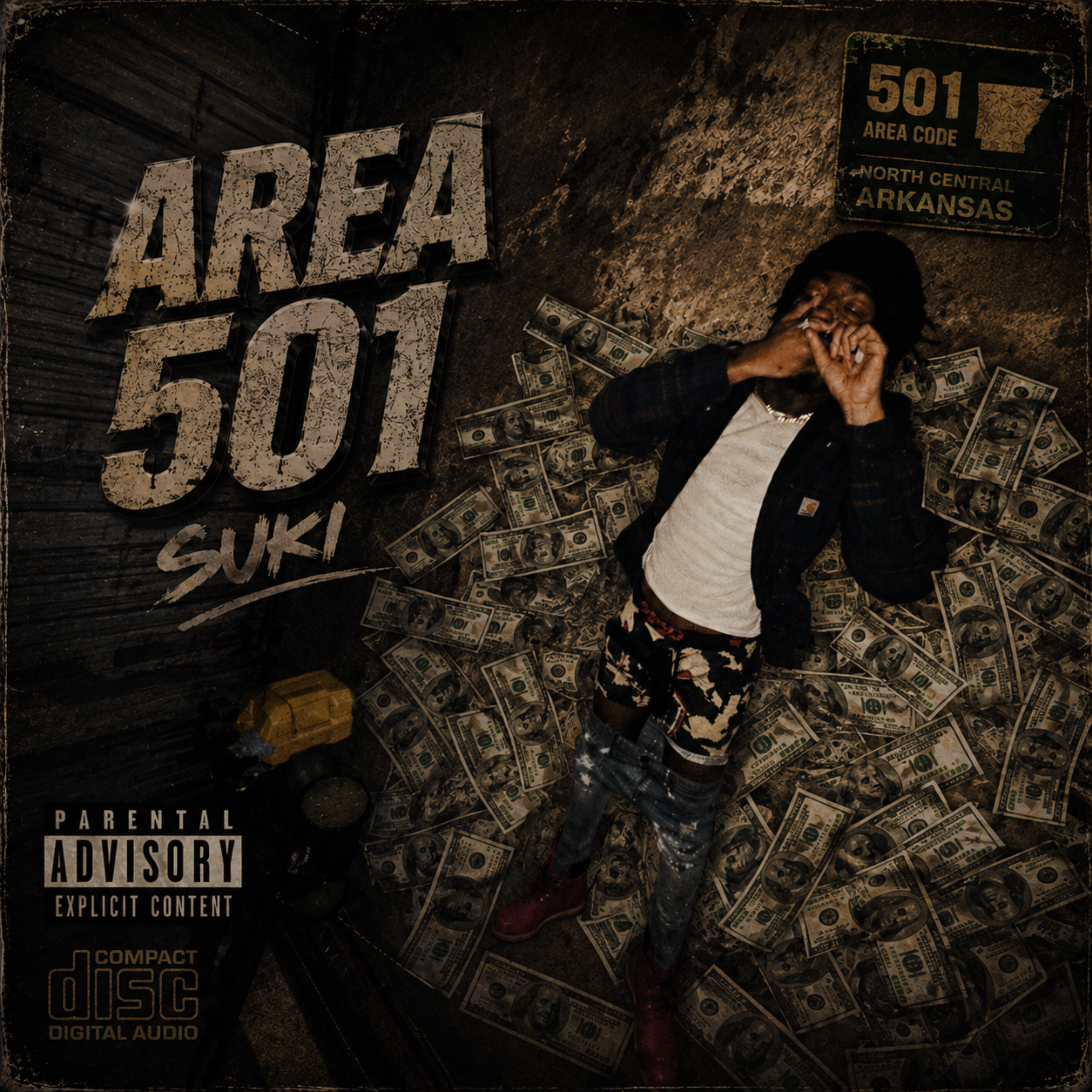Area 501 by tykatsuki cover art